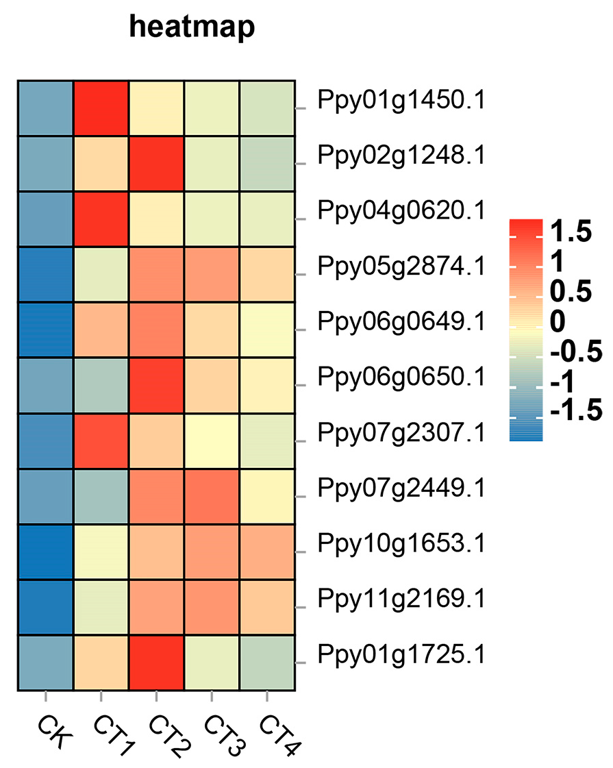 Forests 14 00490 g004 Forests 14 00490 g004