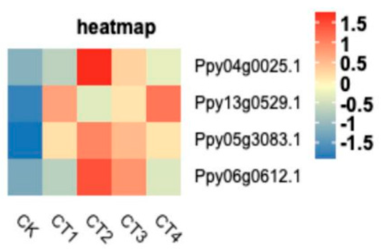 Forests 14 00490 g008 Forests 14 00490 g008