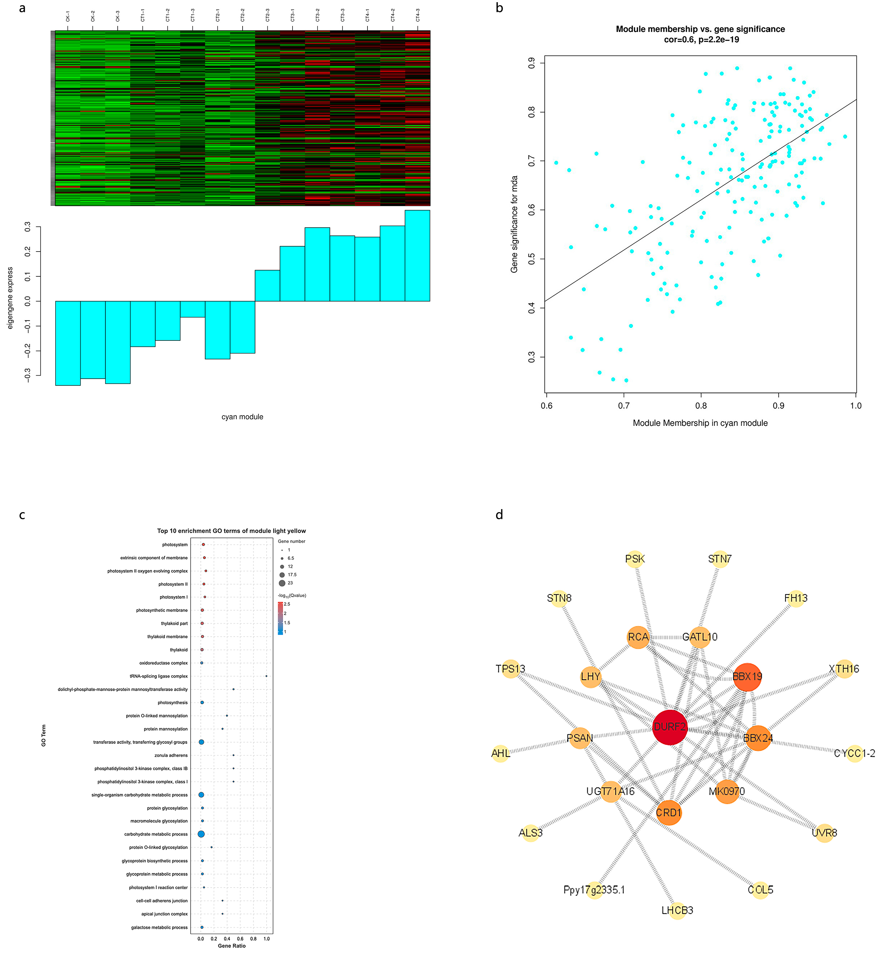 Forests 14 00490 g010 Forests 14 00490 g010