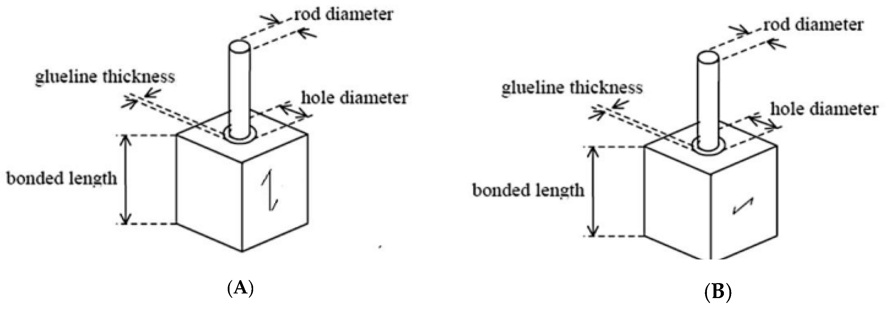 Forests 14 00491 g001 Forests 14 00491 g001