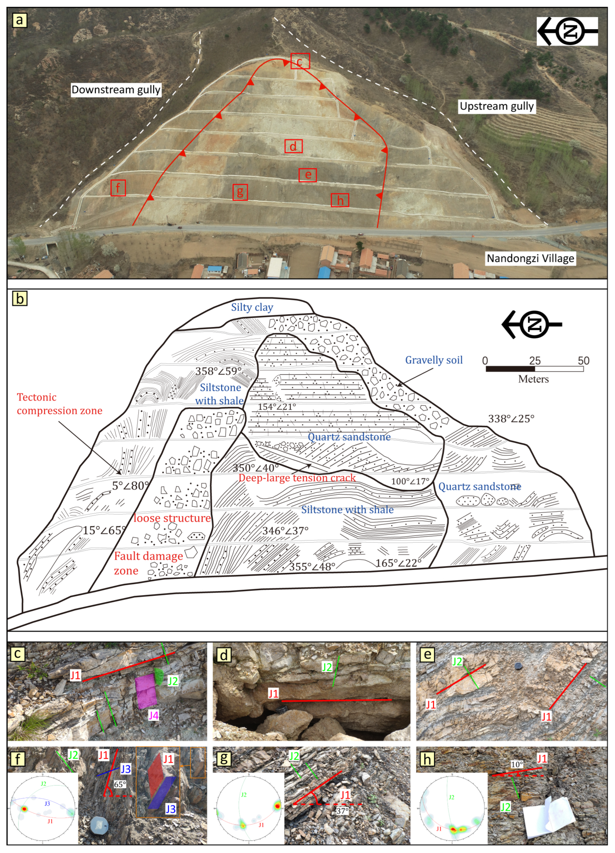 Forests 14 00495 g005