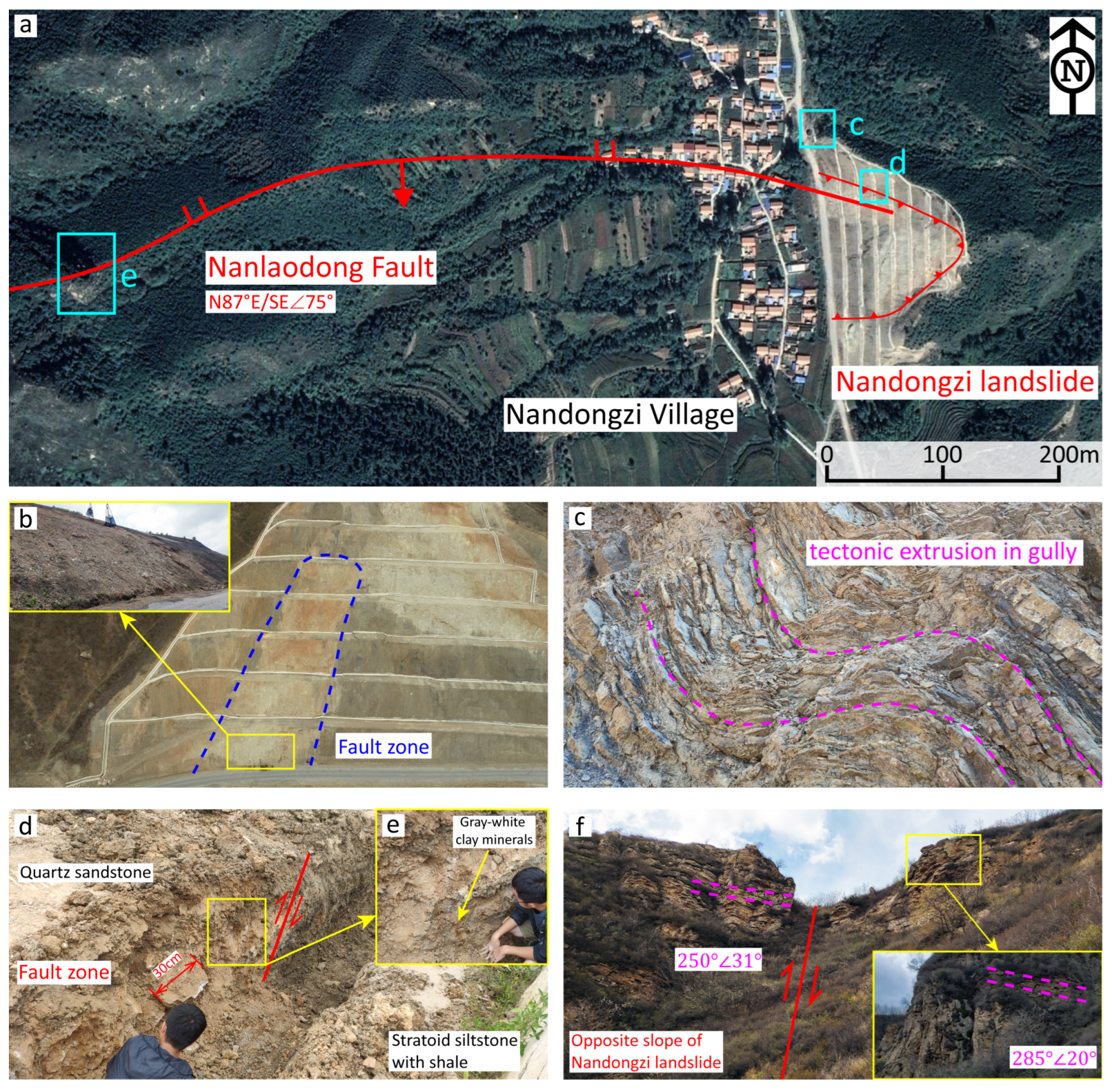 Forests 14 00495 g006