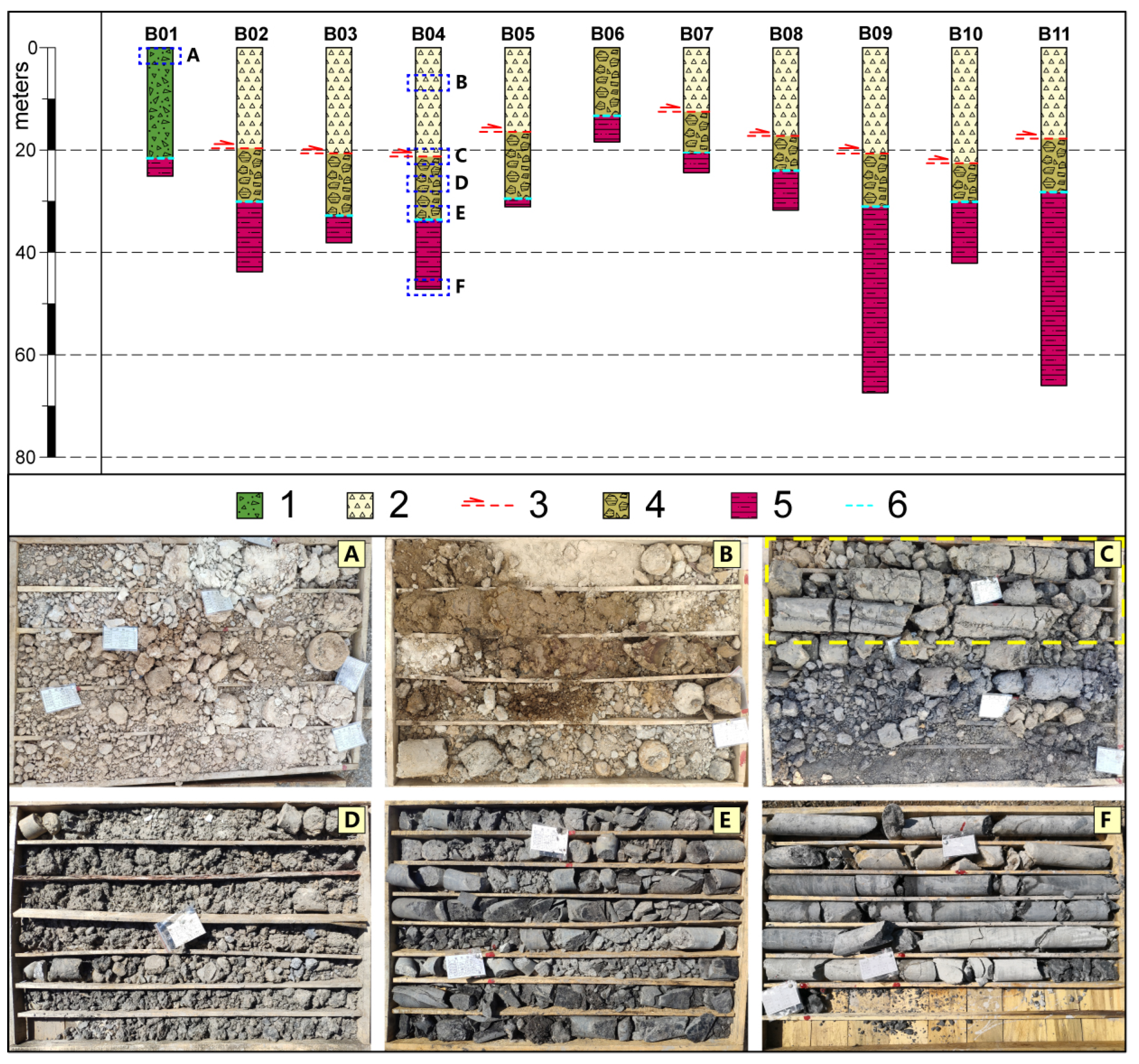 Forests 14 00495 g007
