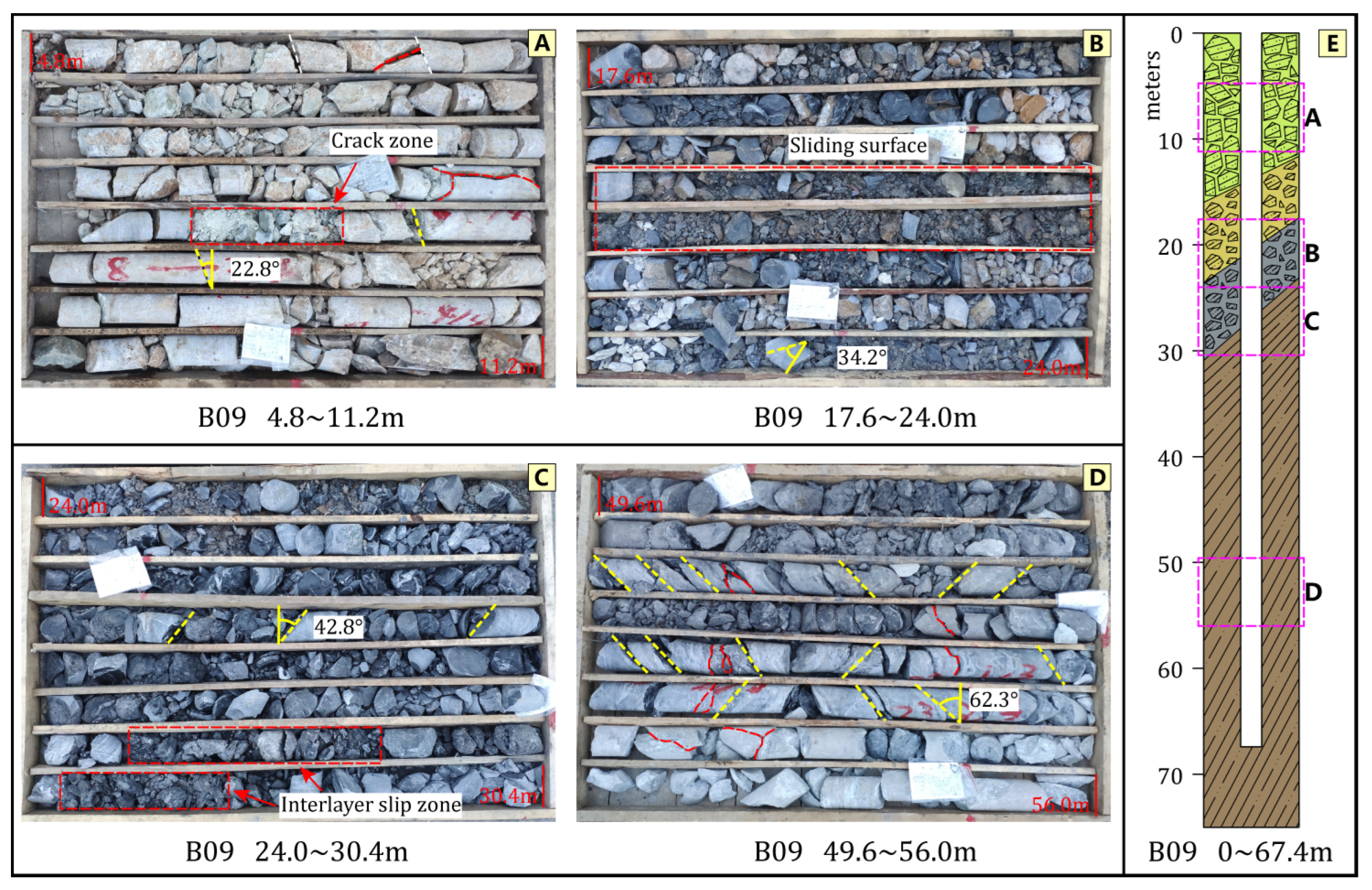 Forests 14 00495 g008