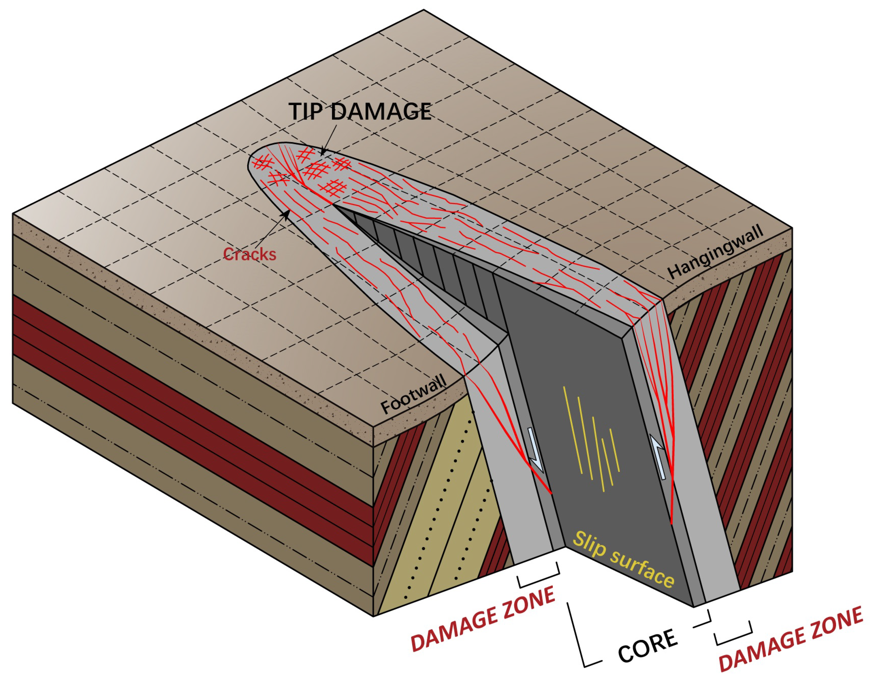 Forests 14 00495 g012