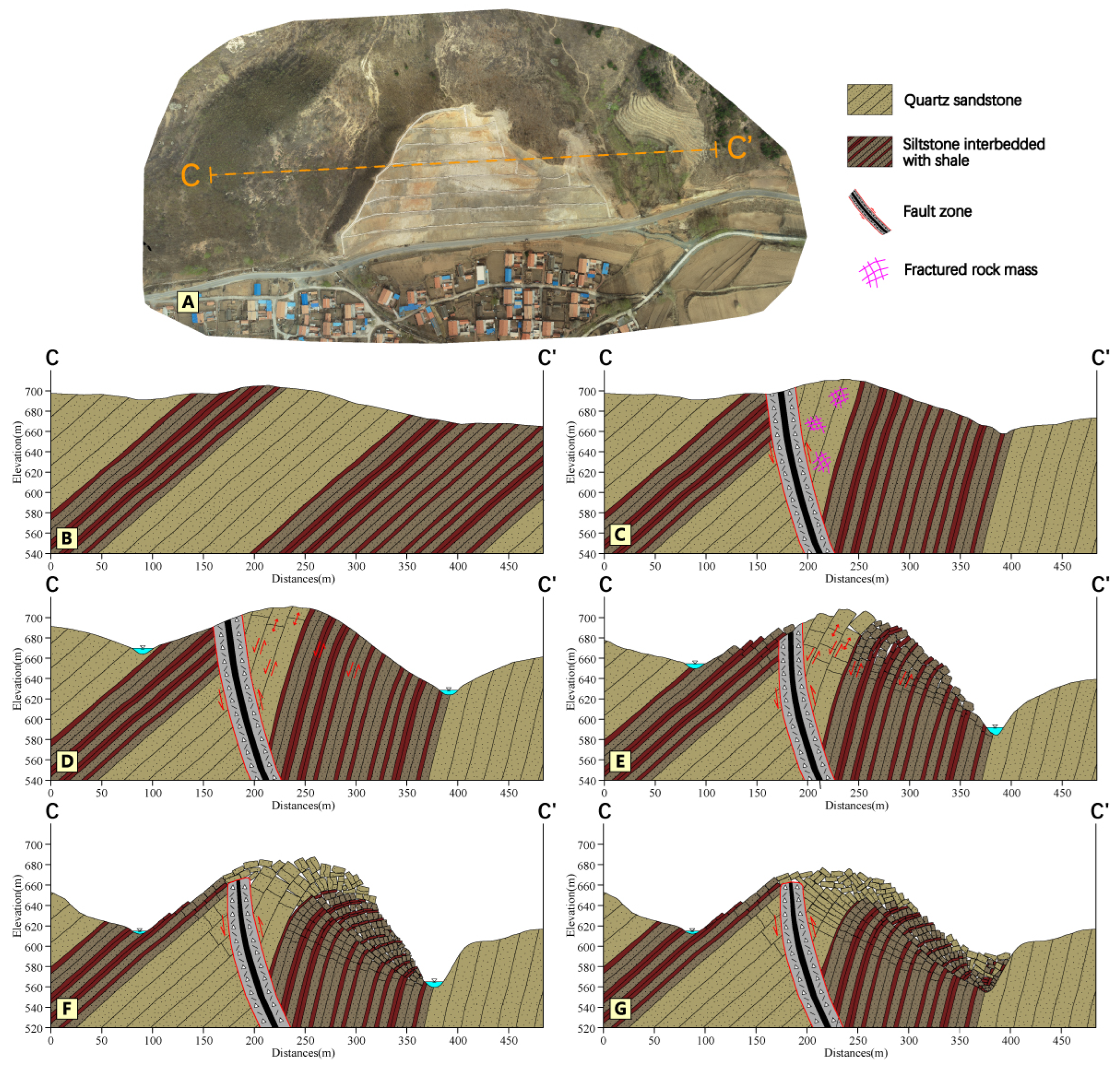 Forests 14 00495 g013