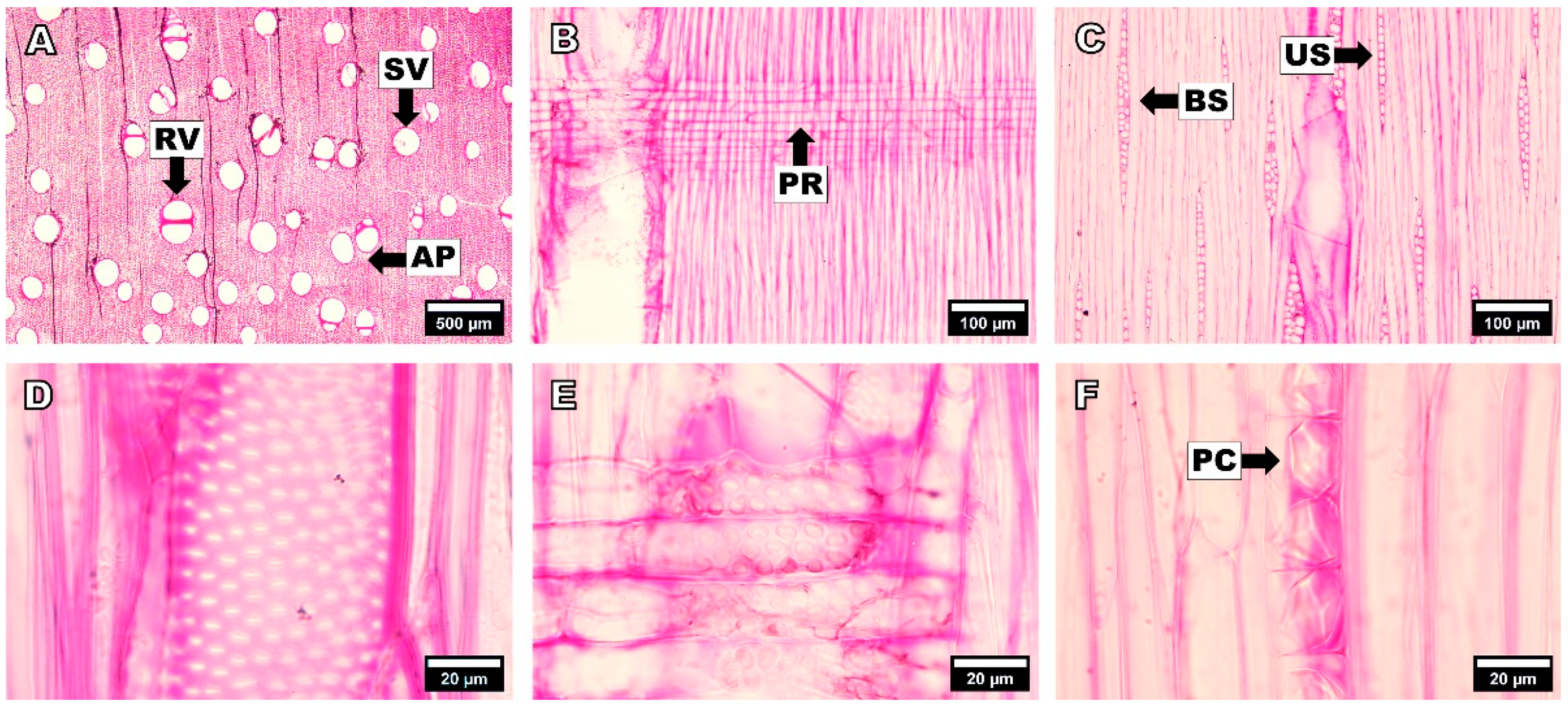 Forests 14 00496 g002 Forests 14 00496 g002