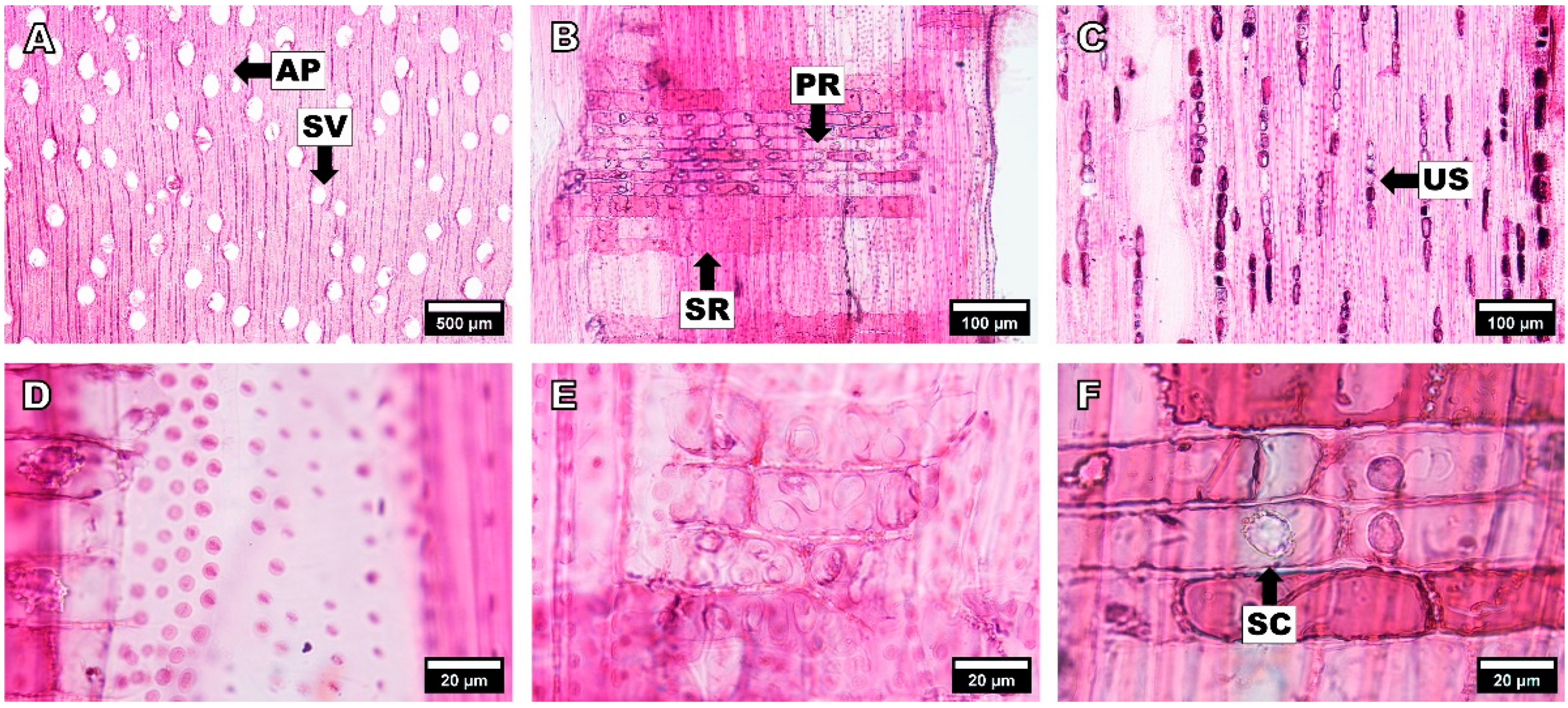 Forests 14 00496 g006 Forests 14 00496 g006