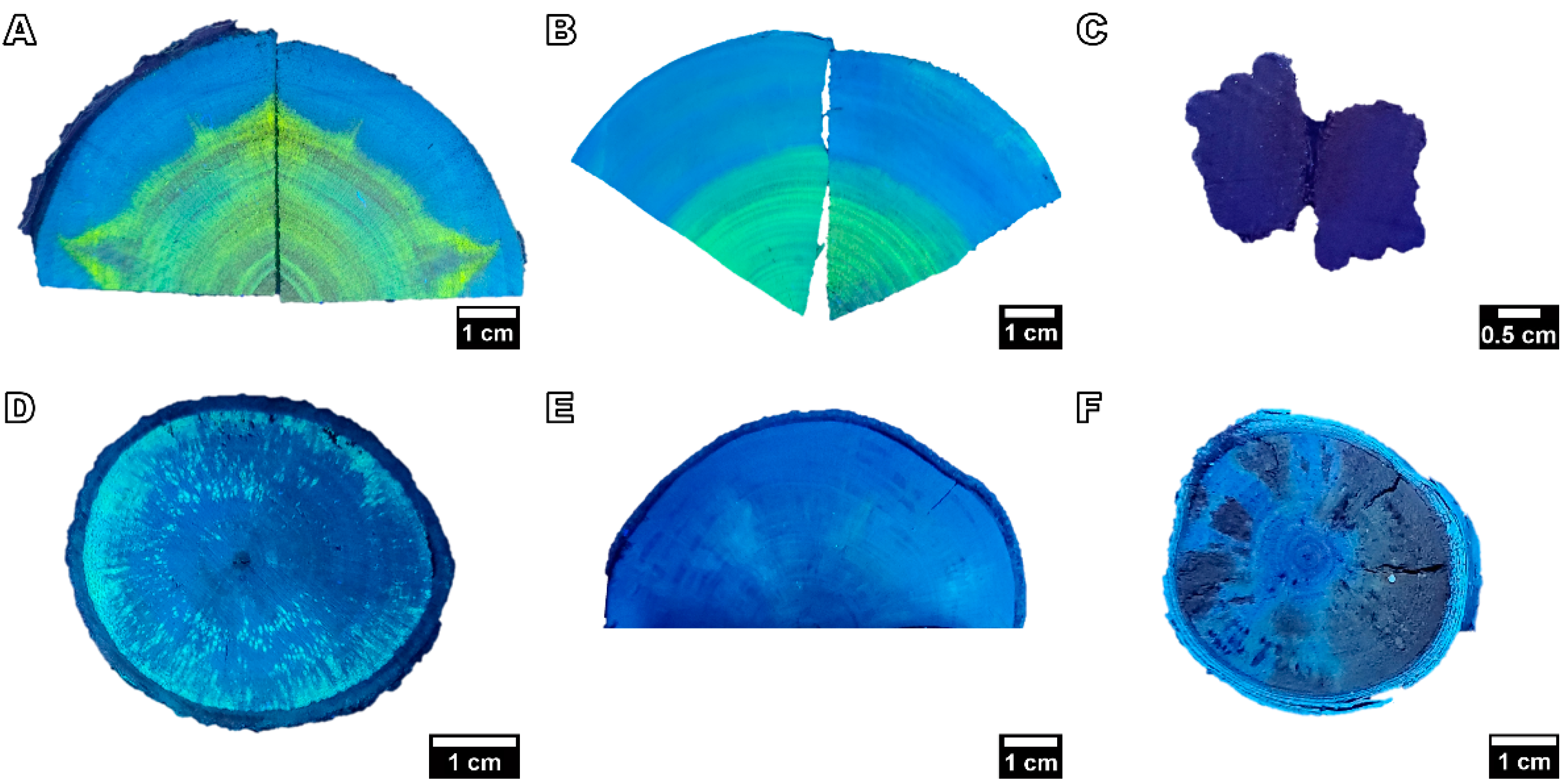 Forests 14 00496 g007 Forests 14 00496 g007