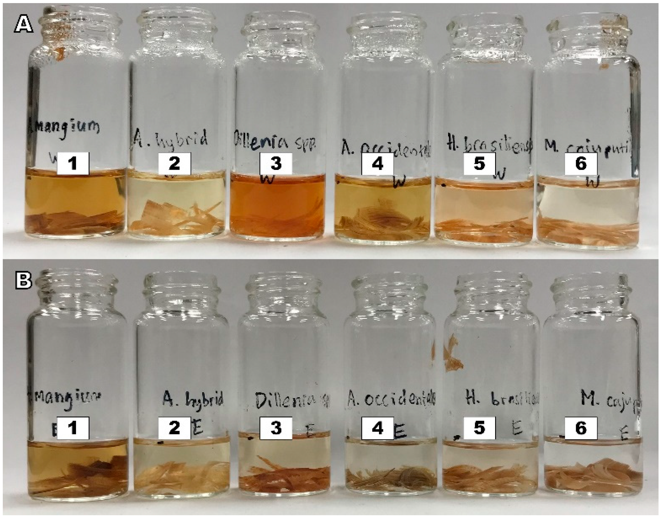 Forests 14 00496 g008 Forests 14 00496 g008