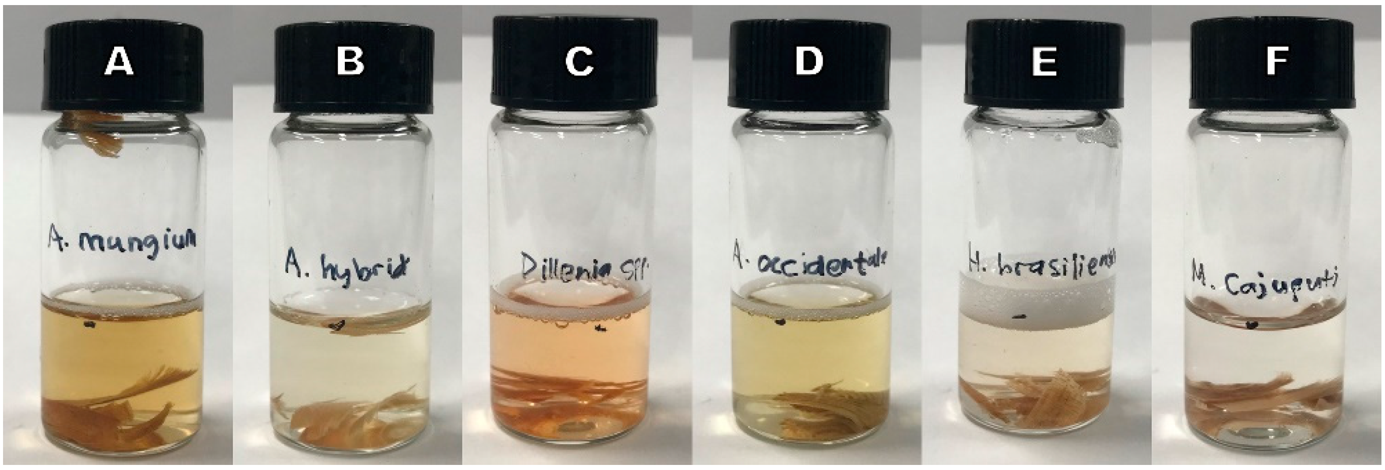 Forests 14 00496 g009 Forests 14 00496 g009