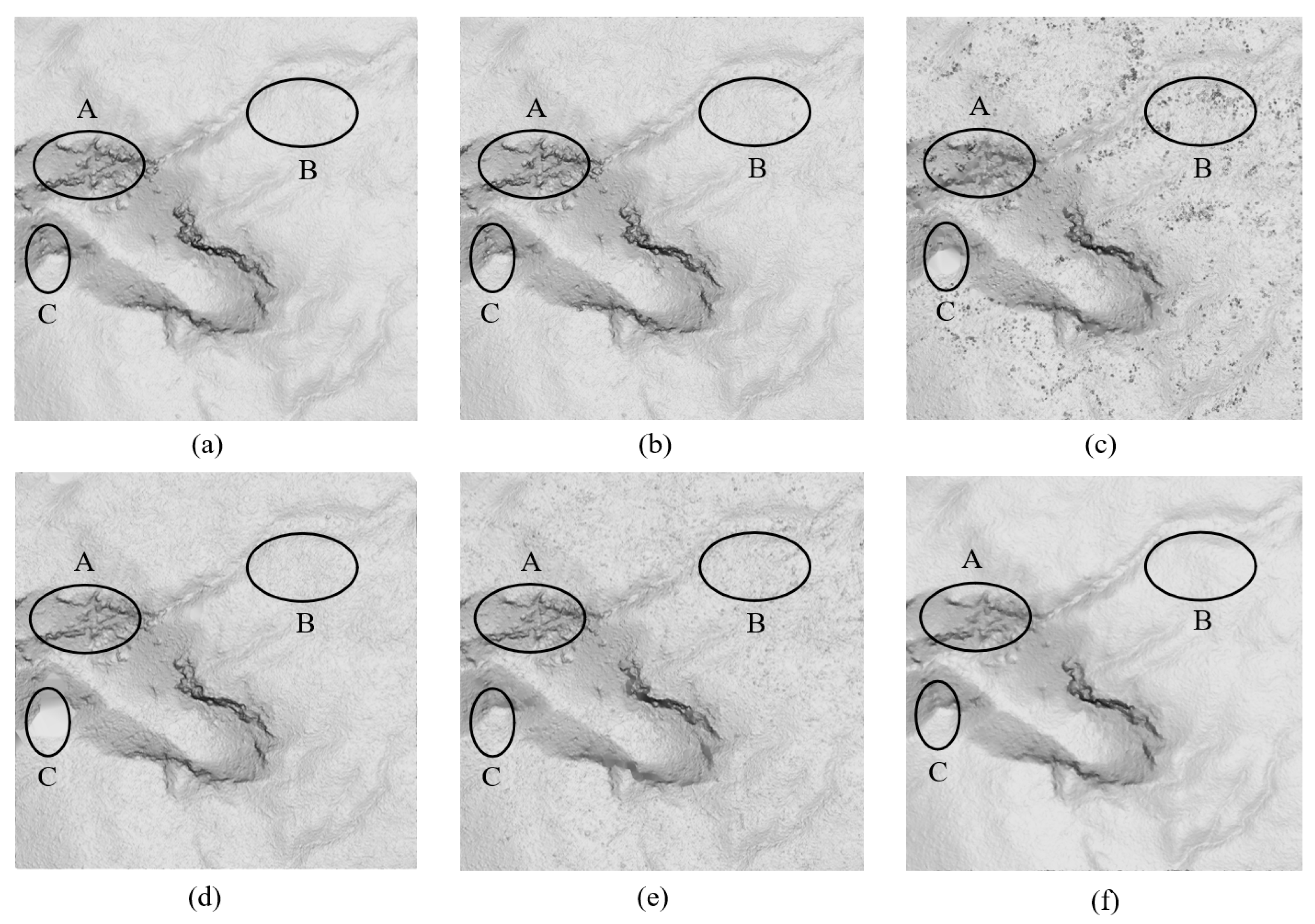Forests 14 00498 g013