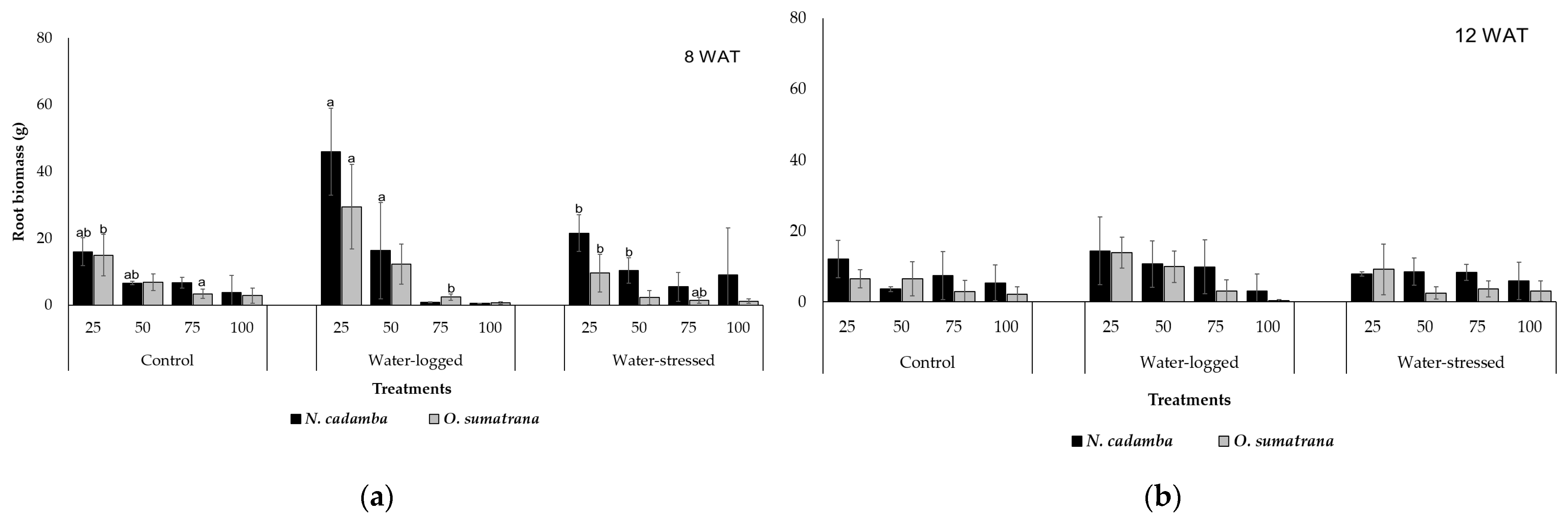 Forests 14 00500 g005 Forests 14 00500 g005