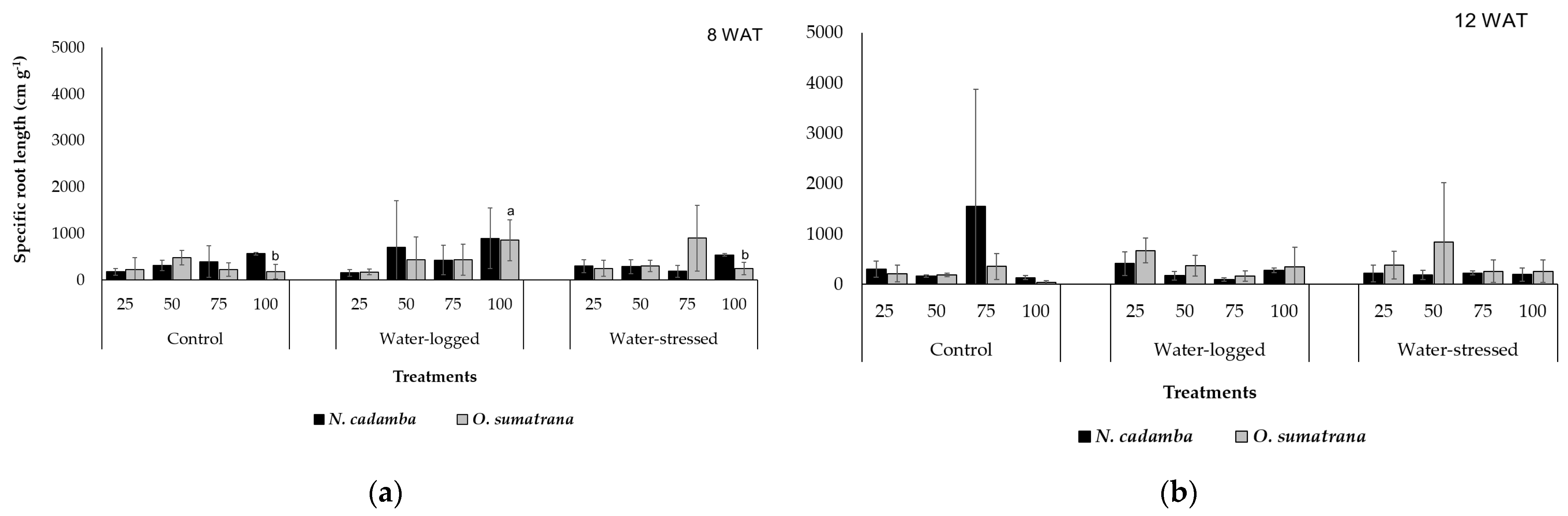 Forests 14 00500 g006 Forests 14 00500 g006