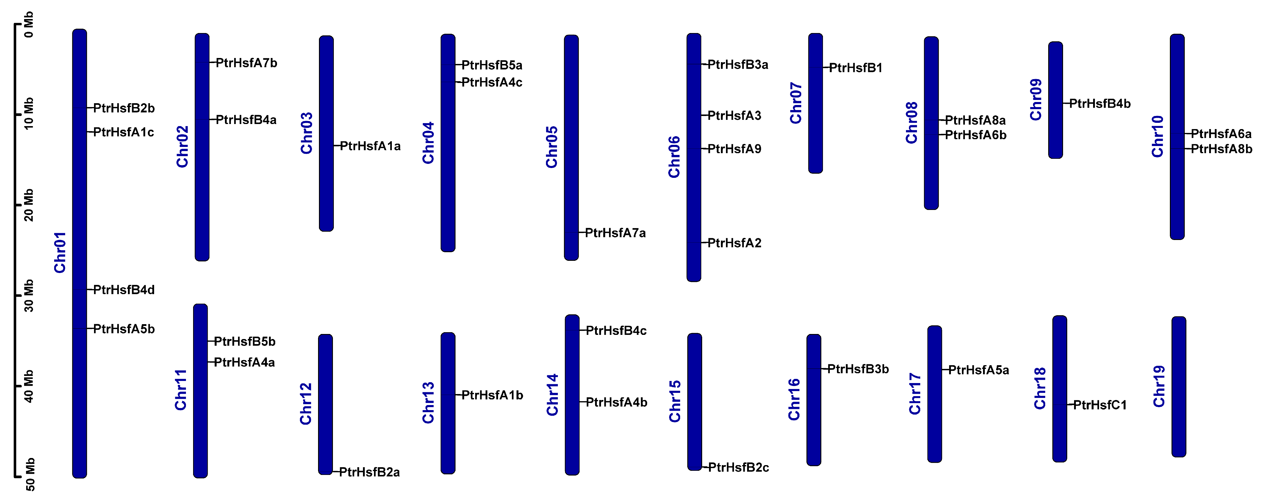 Forests 14 00510 g005