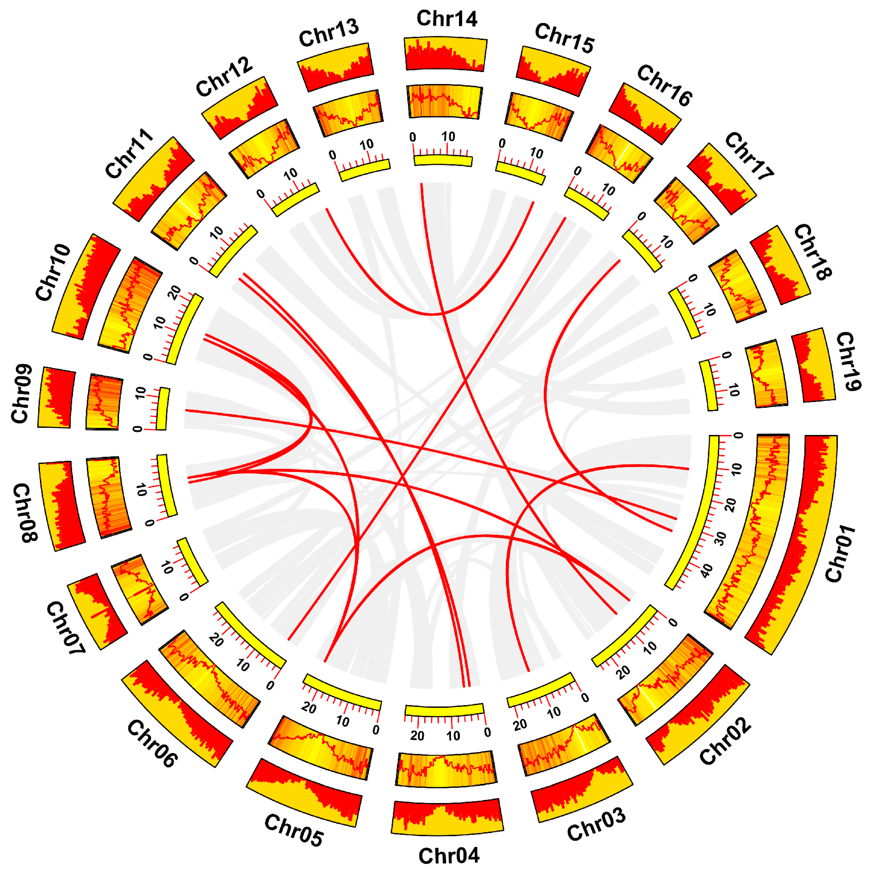 Forests 14 00510 g006