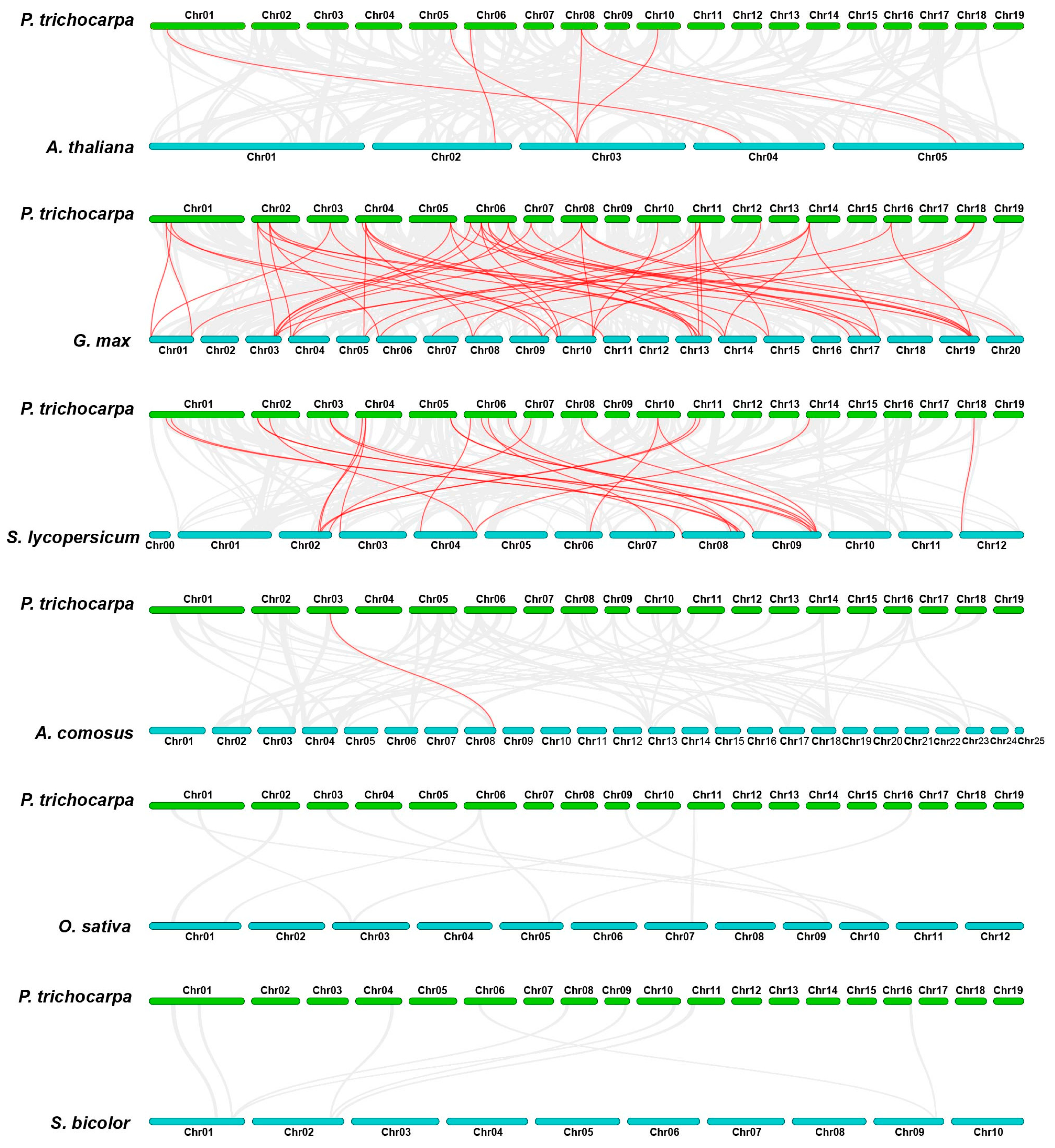 Forests 14 00510 g007