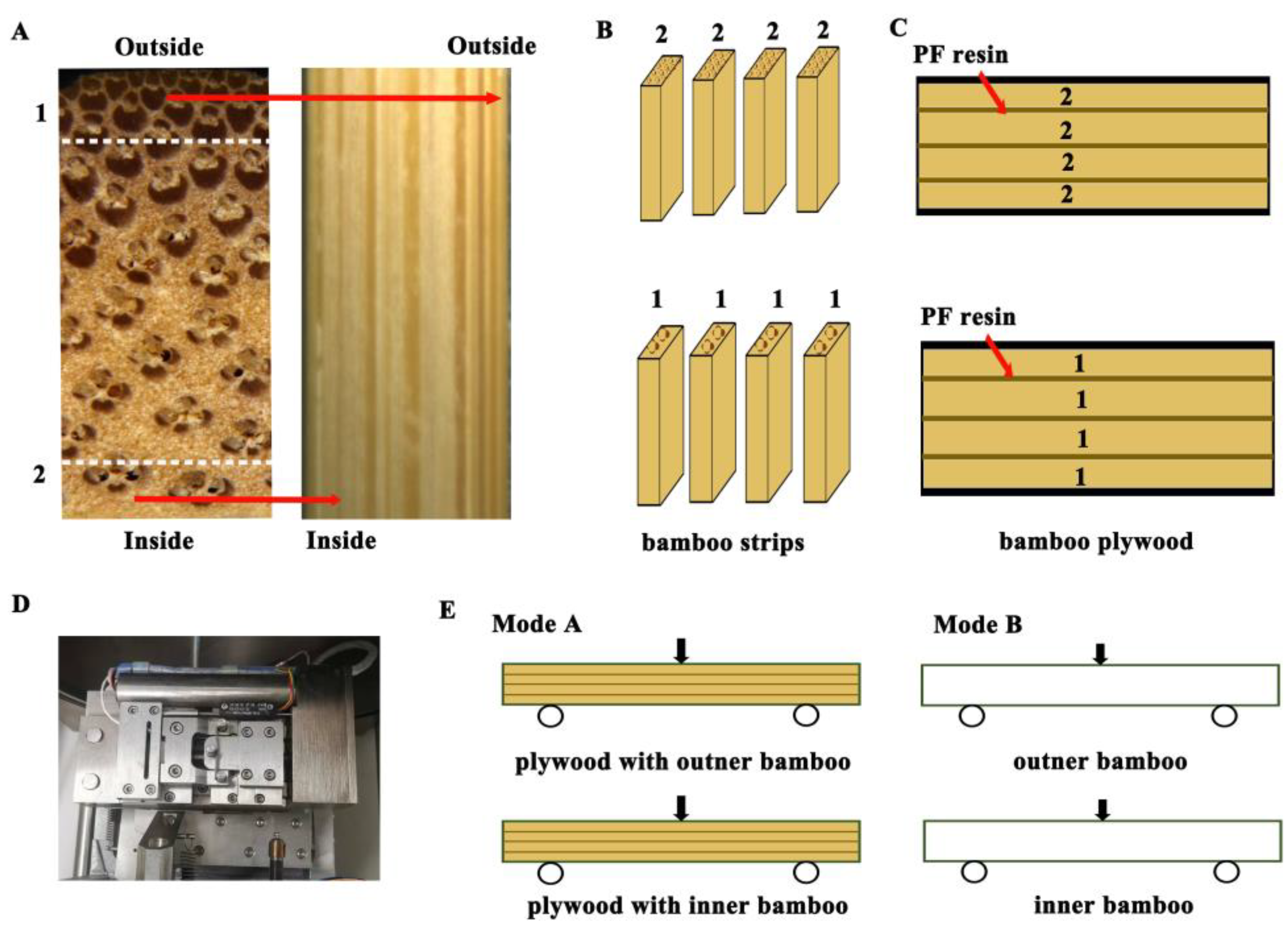 Forests 14 00515 g001 Forests 14 00515 g001