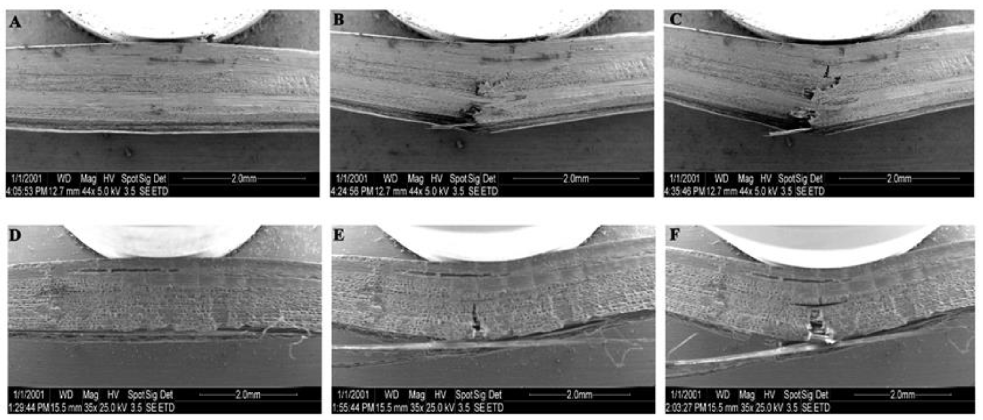 Forests 14 00515 g003 Forests 14 00515 g003