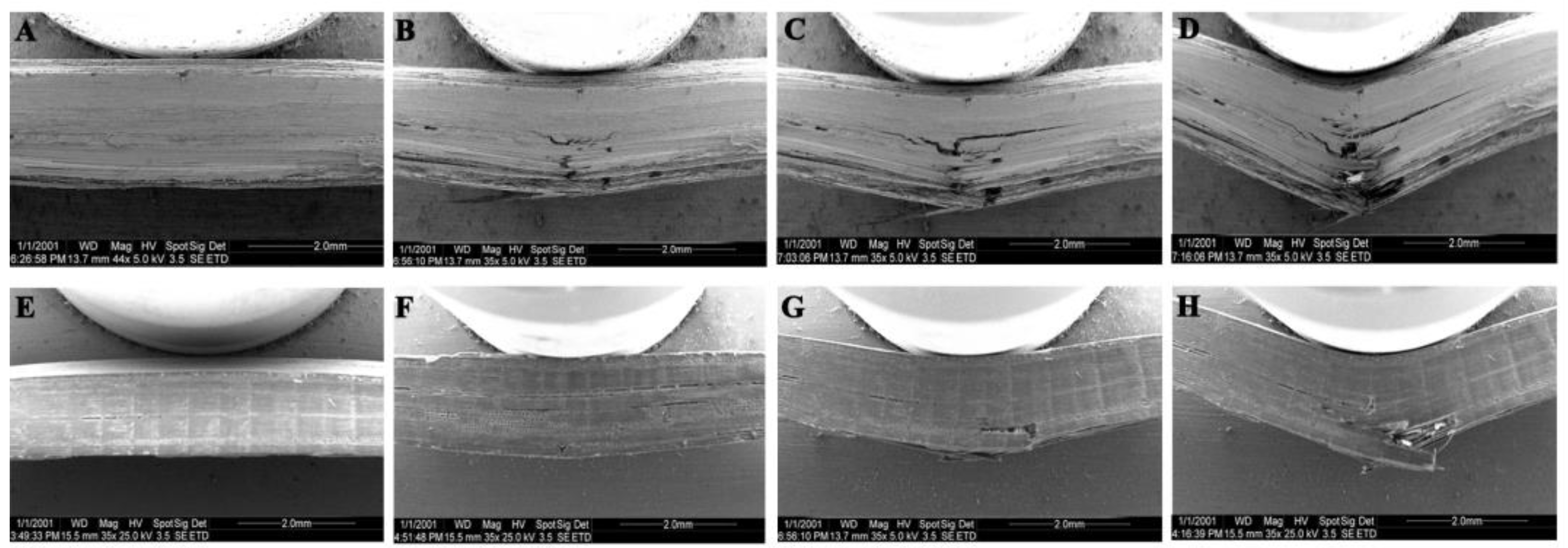 Forests 14 00515 g006 Forests 14 00515 g006