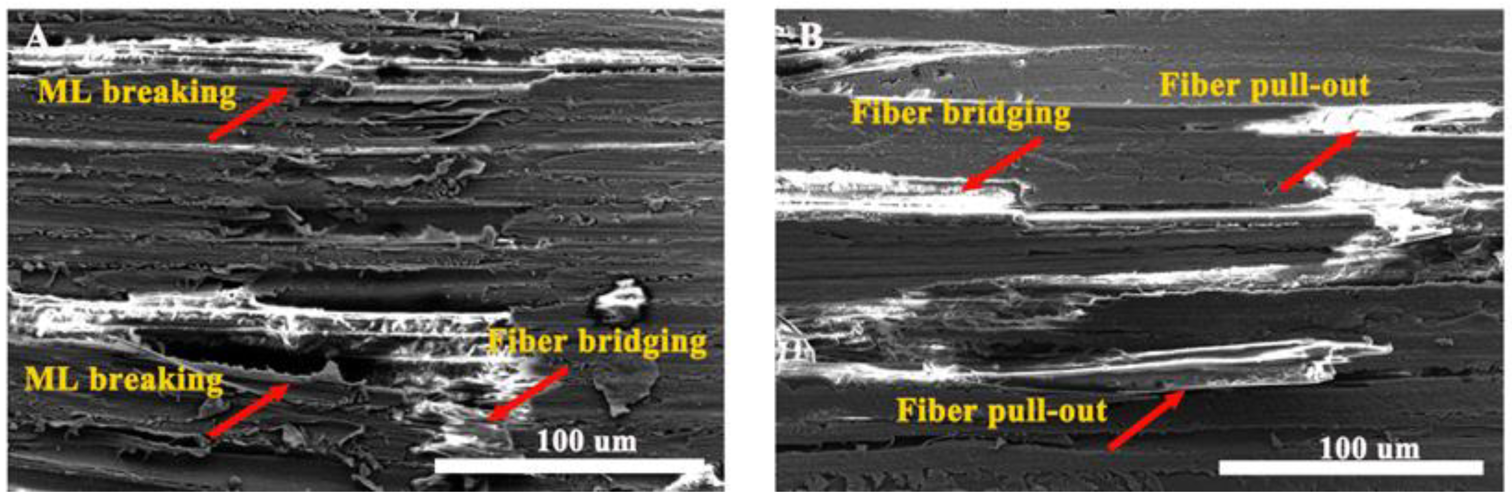 Forests 14 00515 g007 Forests 14 00515 g007