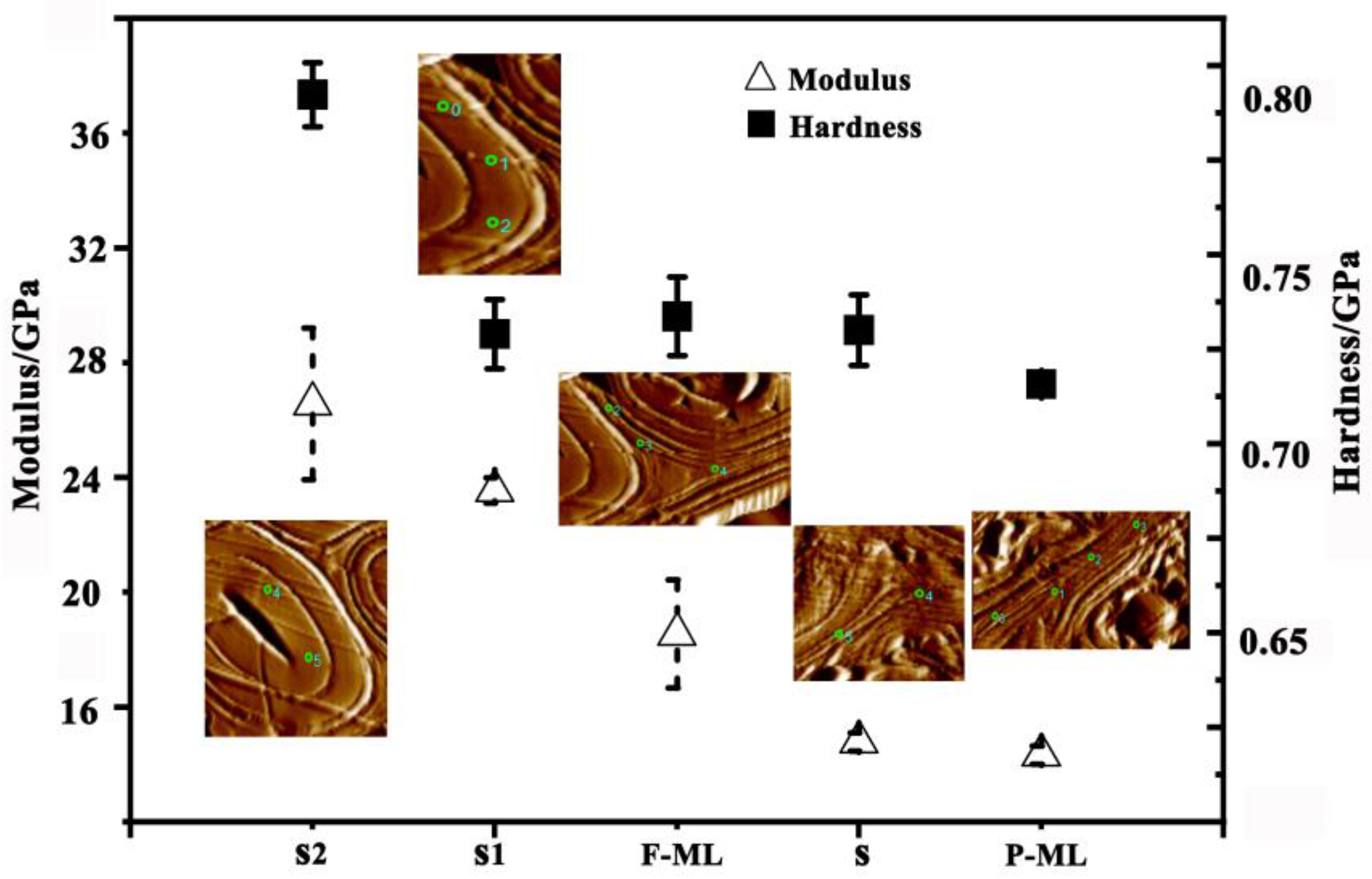 Forests 14 00515 g008 Forests 14 00515 g008