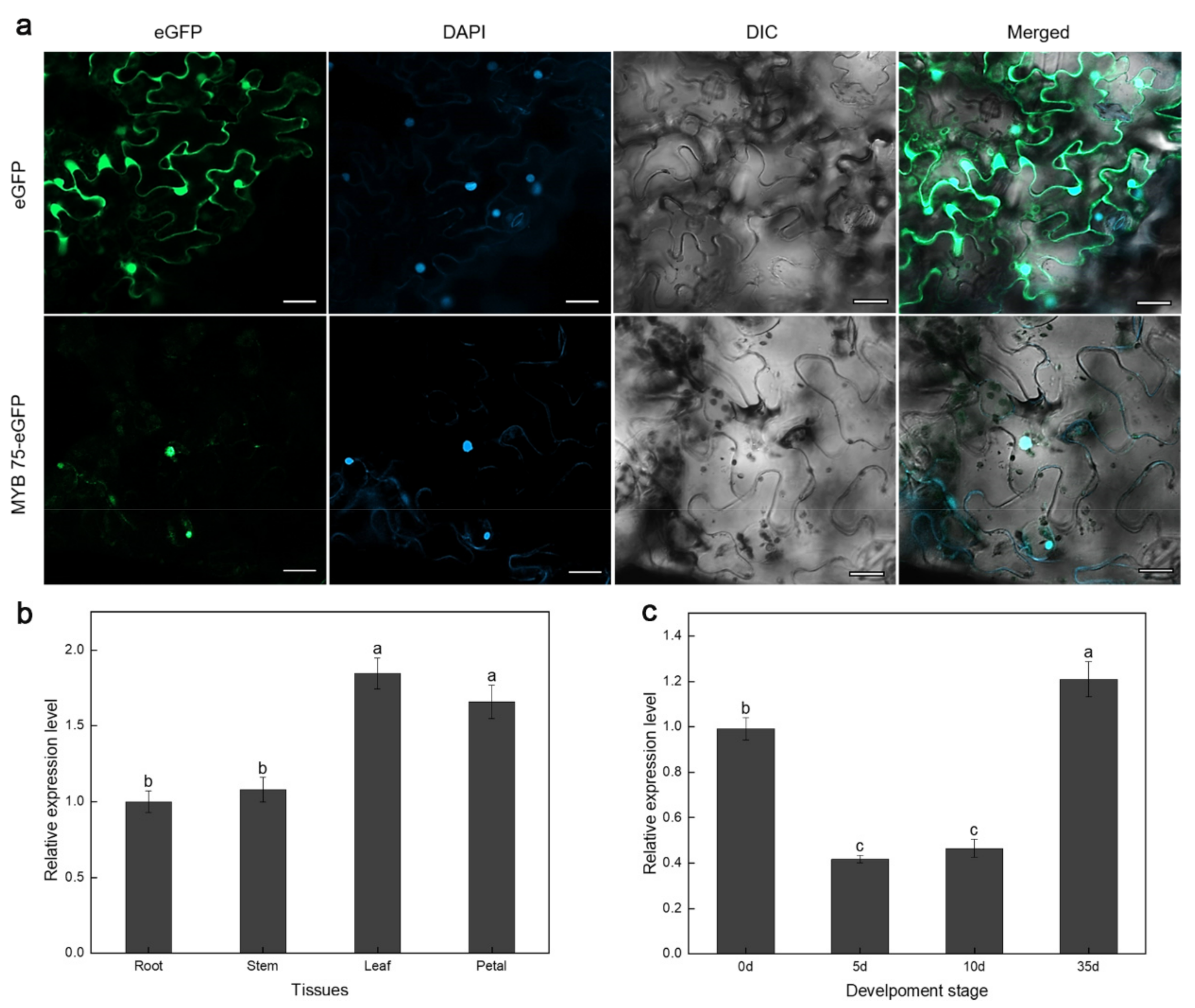 Forests 14 00517 g005