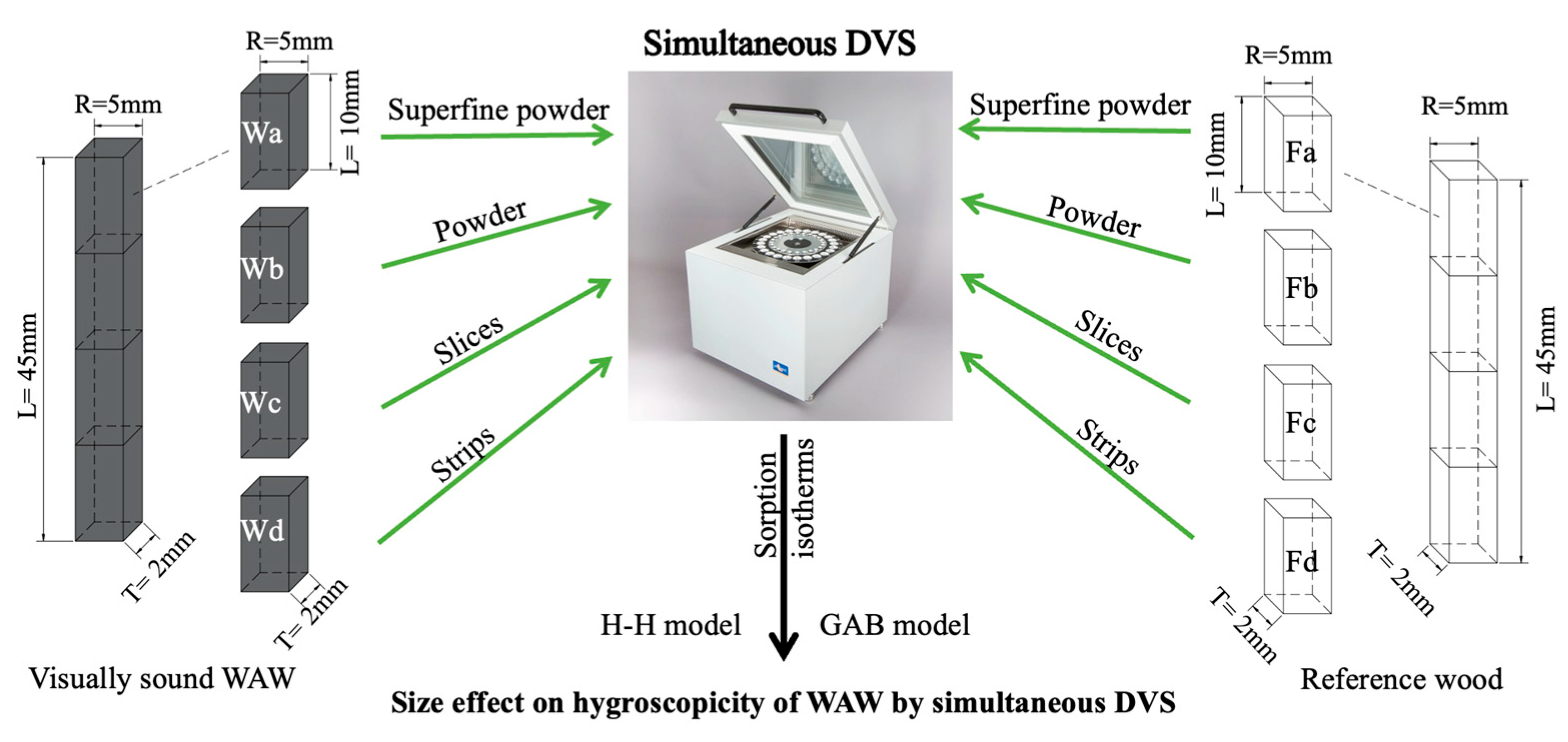Forests 14 00519 g001