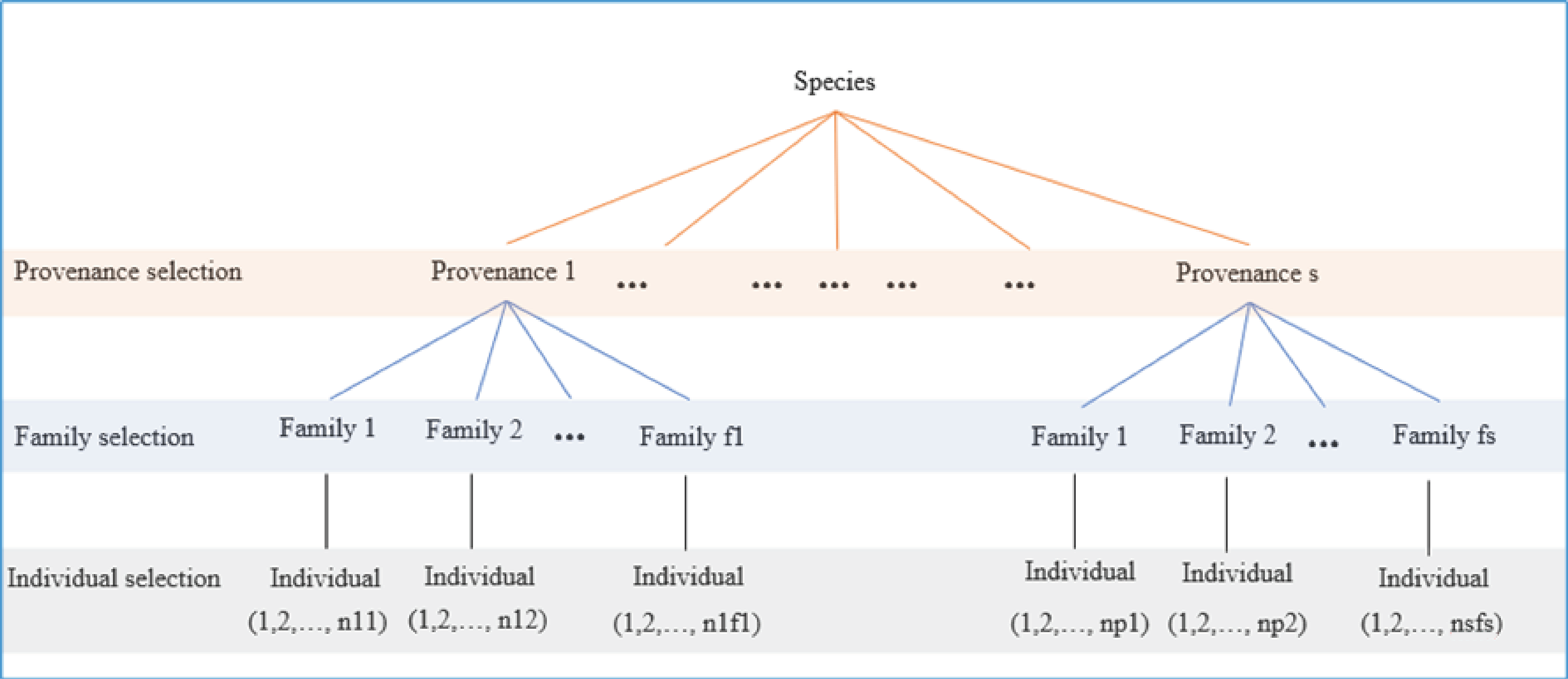 Forests 14 00520 i001