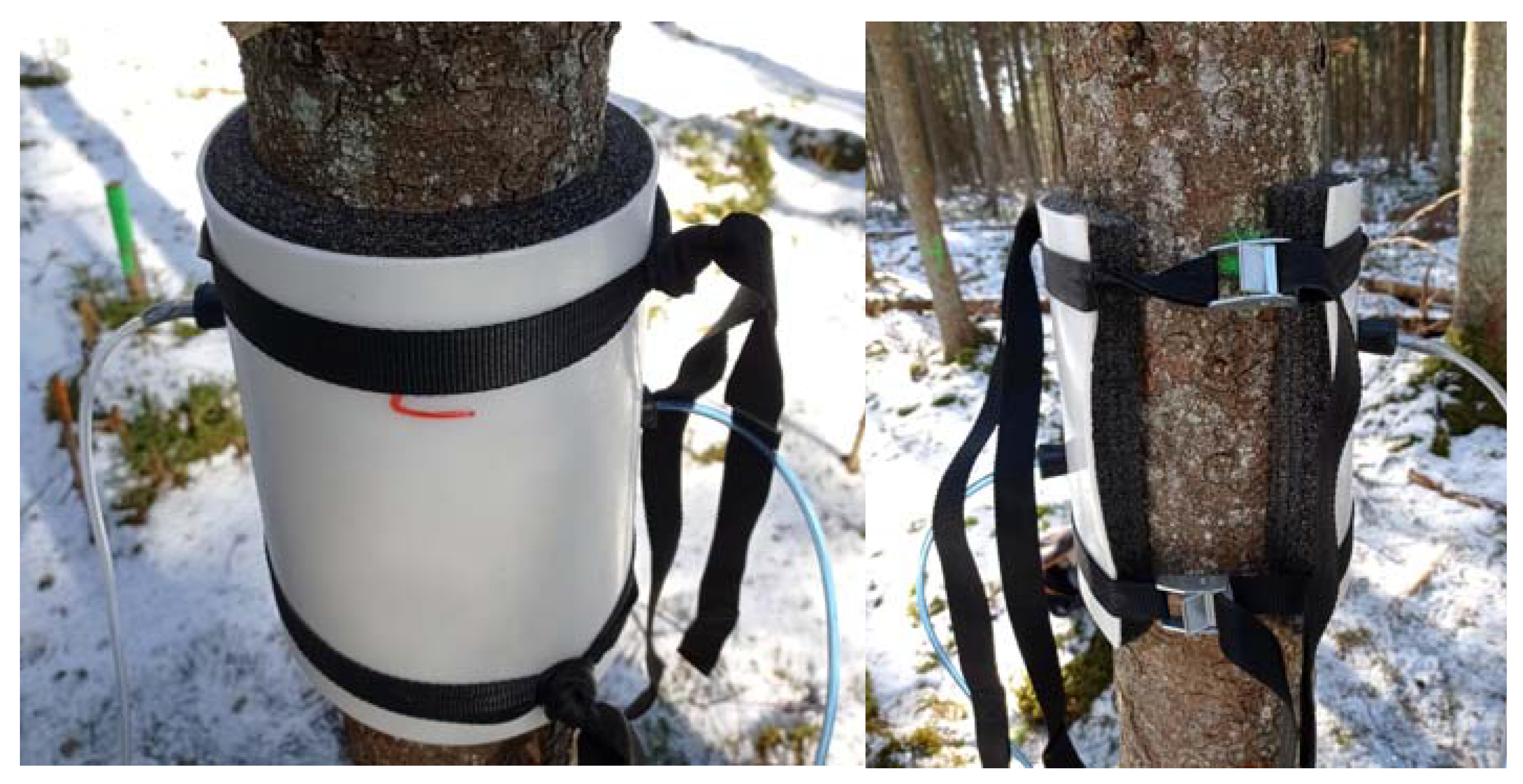 Forests 14 00521 g003 Forests 14 00521 g003