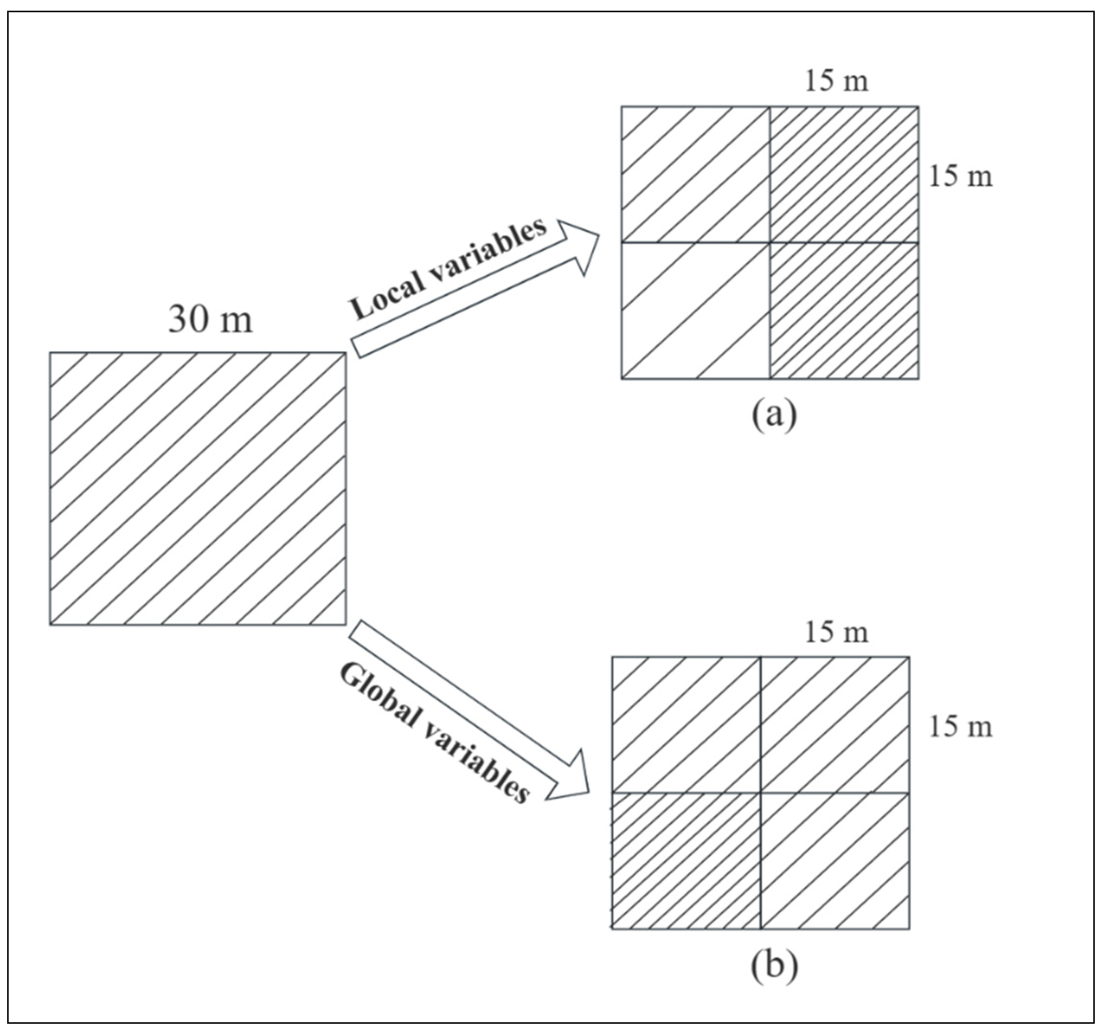 Forests 14 00526 g002
