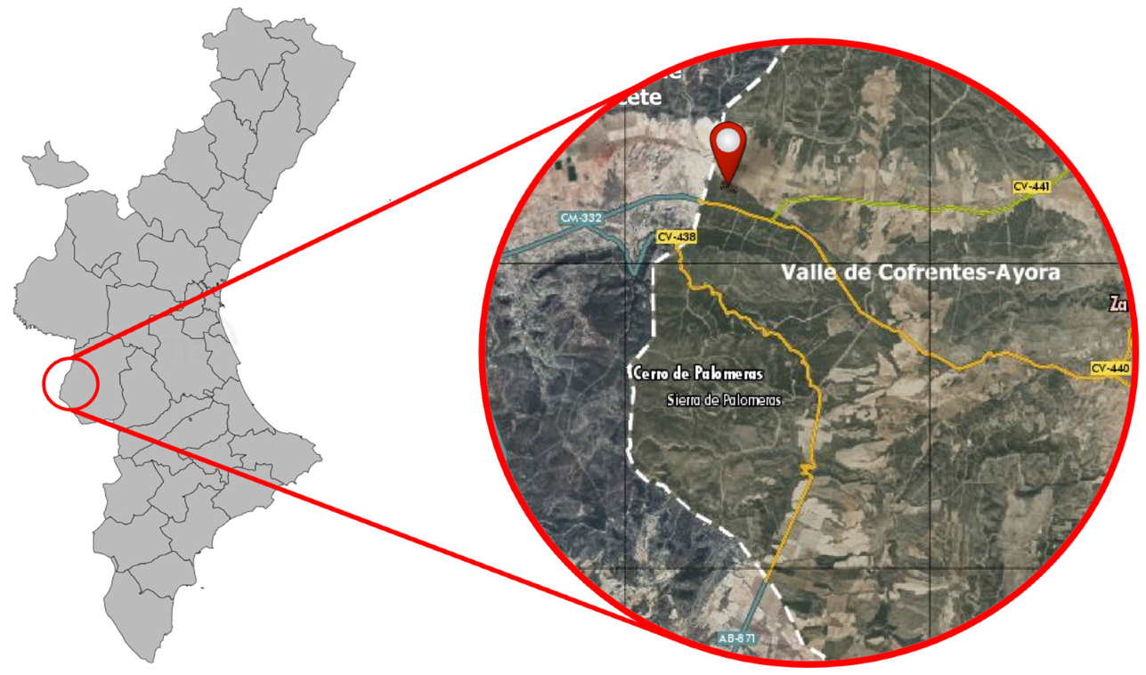 Forests 14 00527 g001