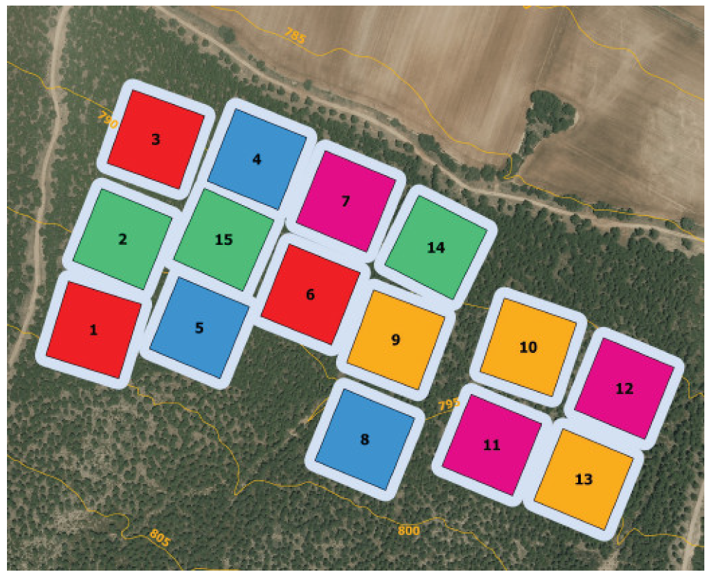 Forests 14 00527 g002