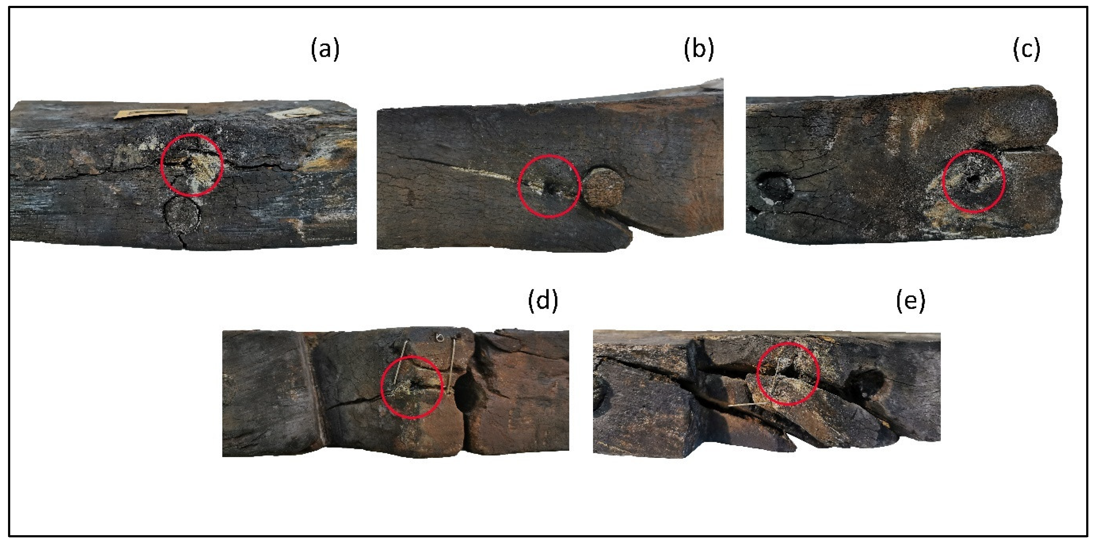 Forests 14 00530 g009