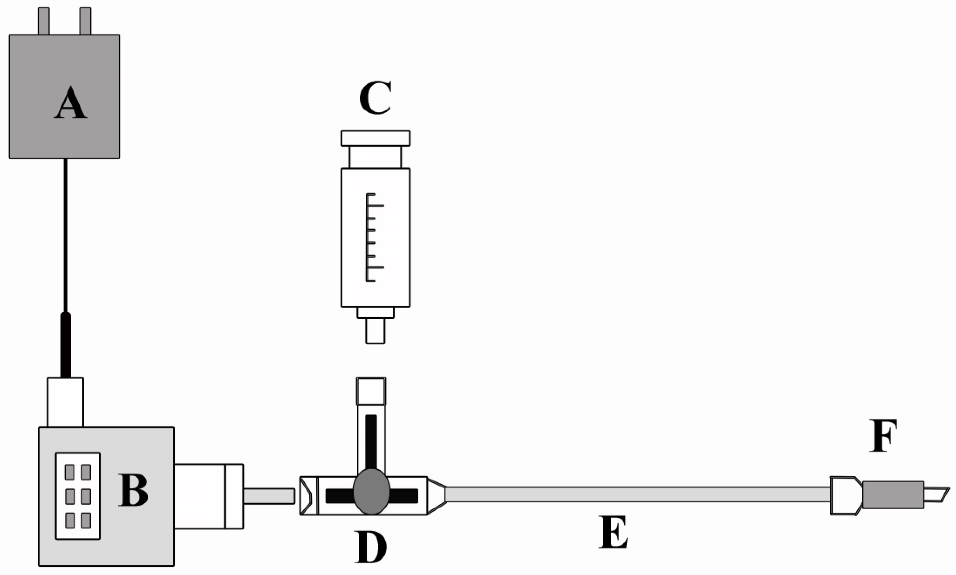 Forests 14 00531 g001