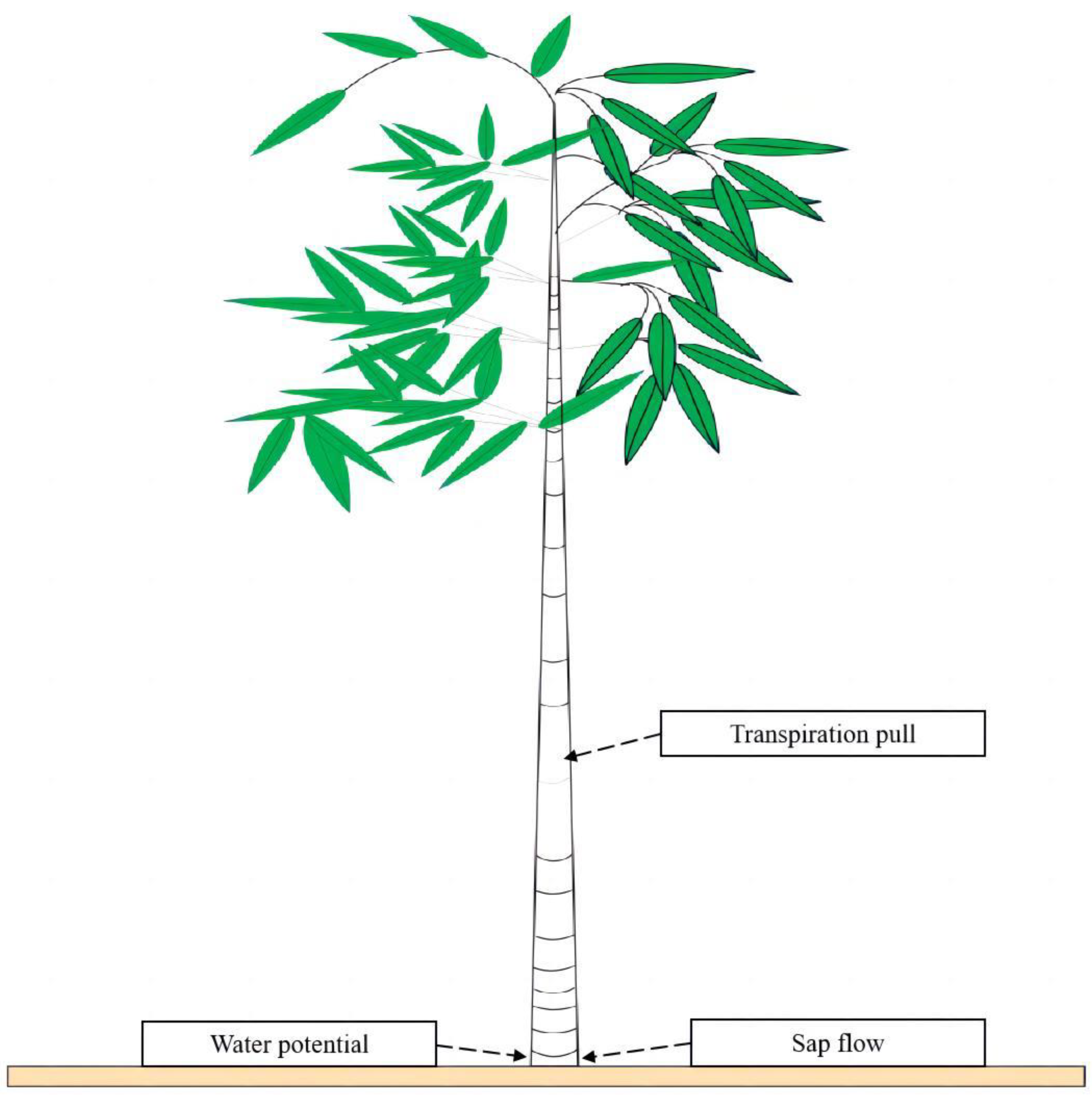 Forests 14 00531 g002
