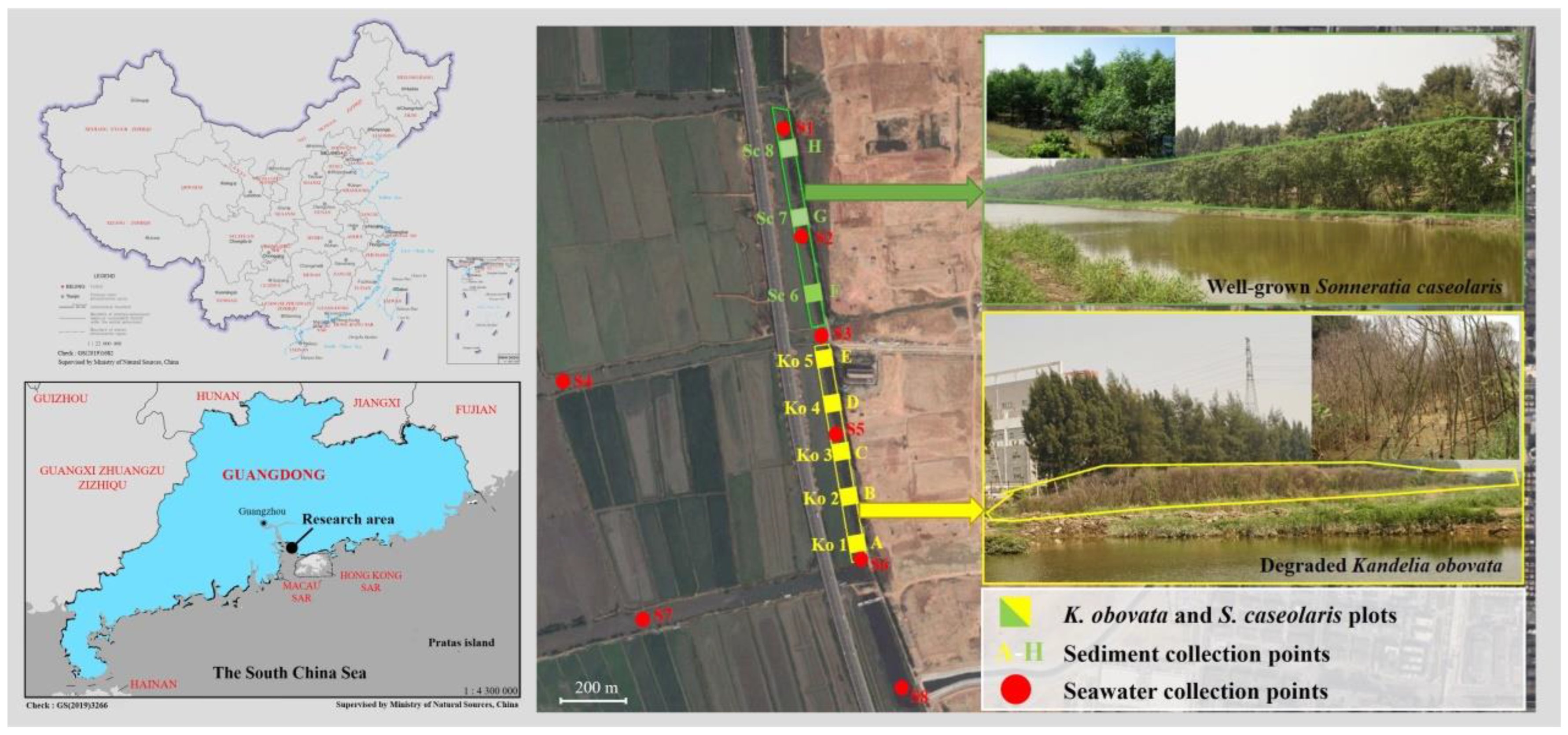 Forests 14 00532 g001 Forests 14 00532 g001
