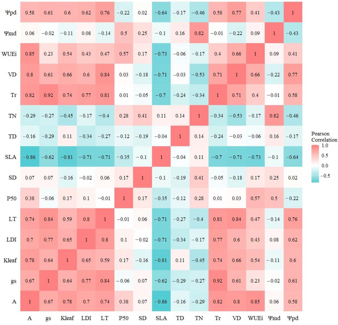 Forests 14 00535 g007 Forests 14 00535 g007
