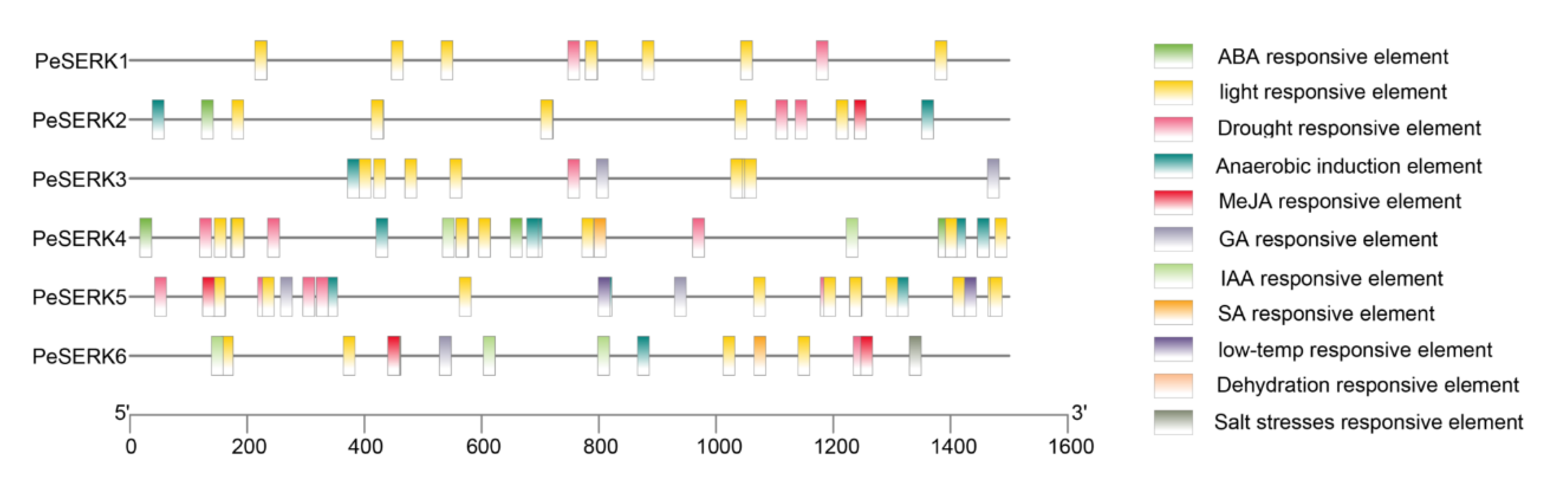 Forests 14 00540 g006