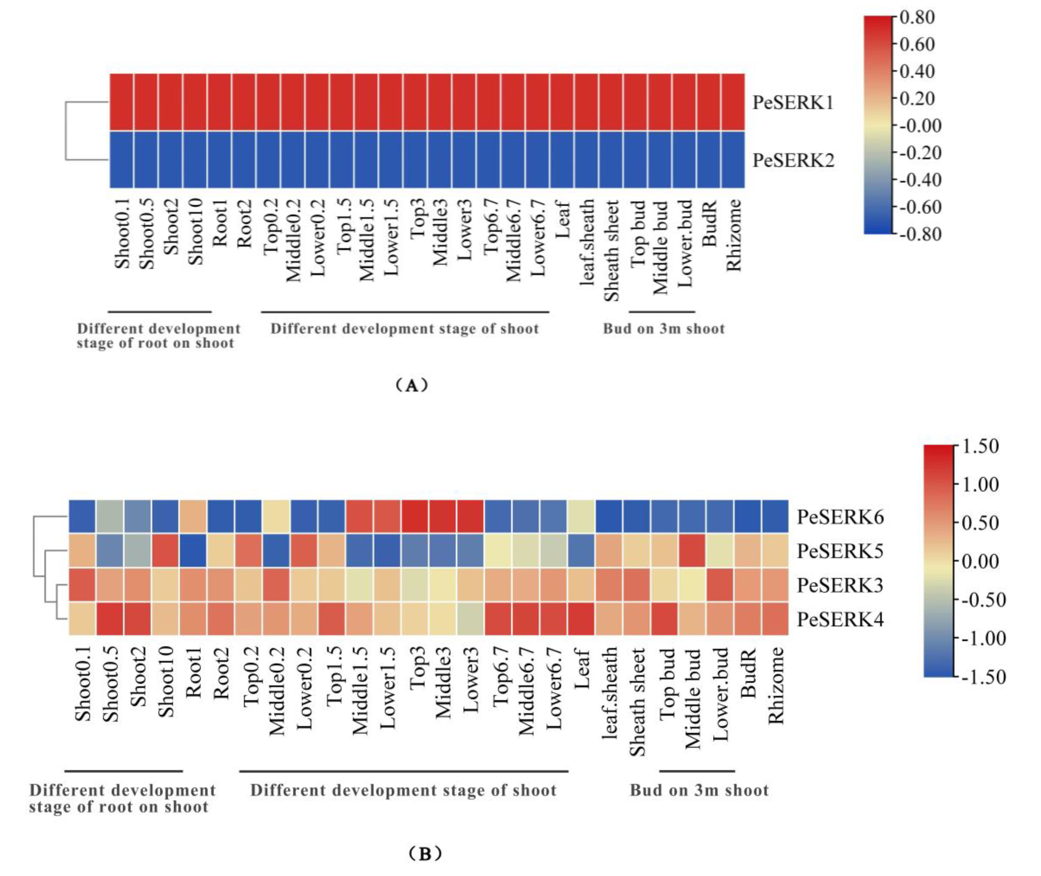 Forests 14 00540 g007