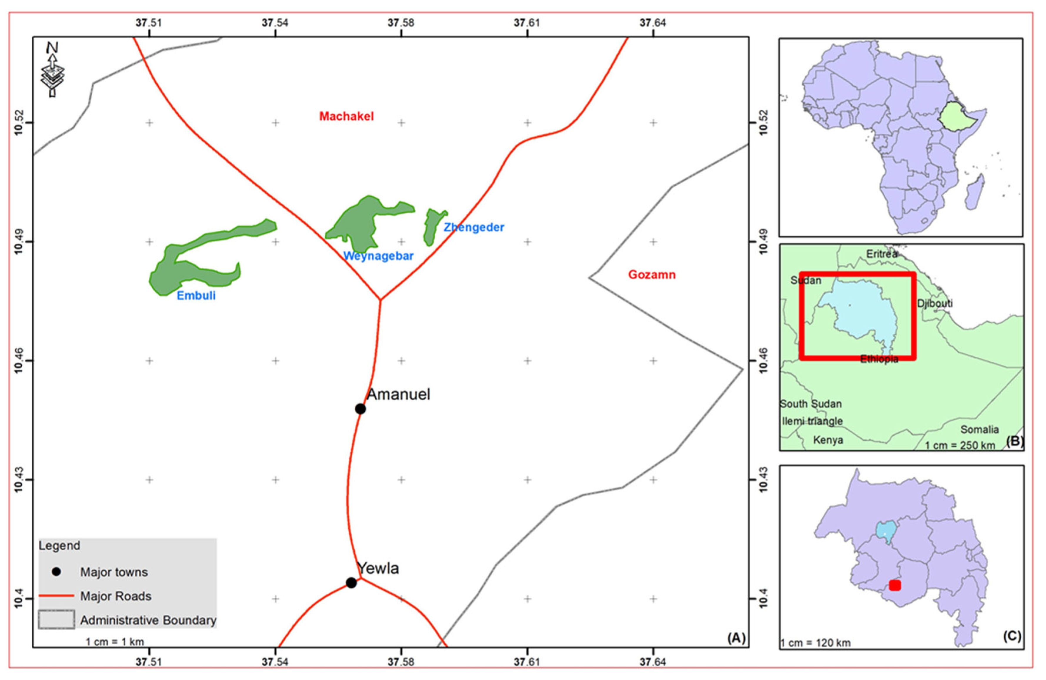 Forests 14 00541 g001 Forests 14 00541 g001