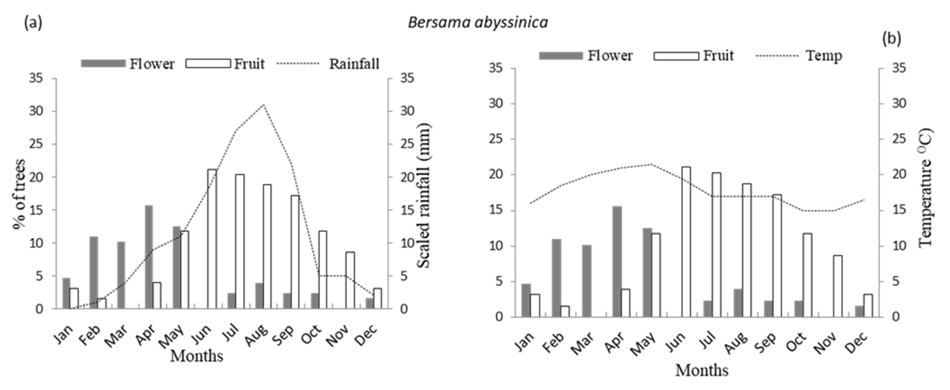 Forests 14 00541 g002 Forests 14 00541 g002