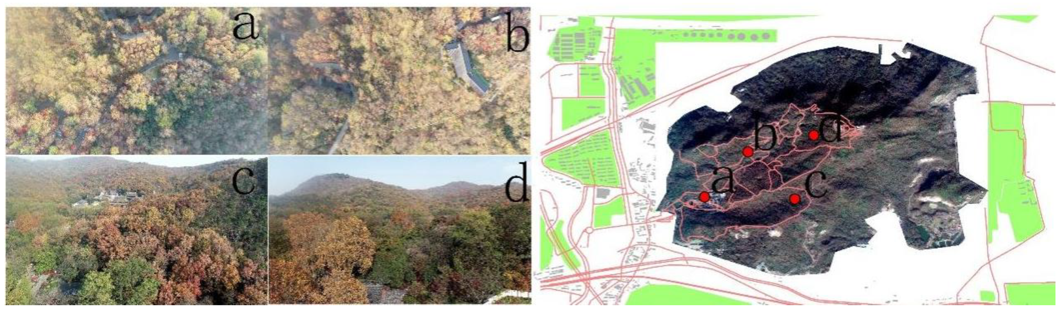 Forests 14 00542 g005 Forests 14 00542 g005