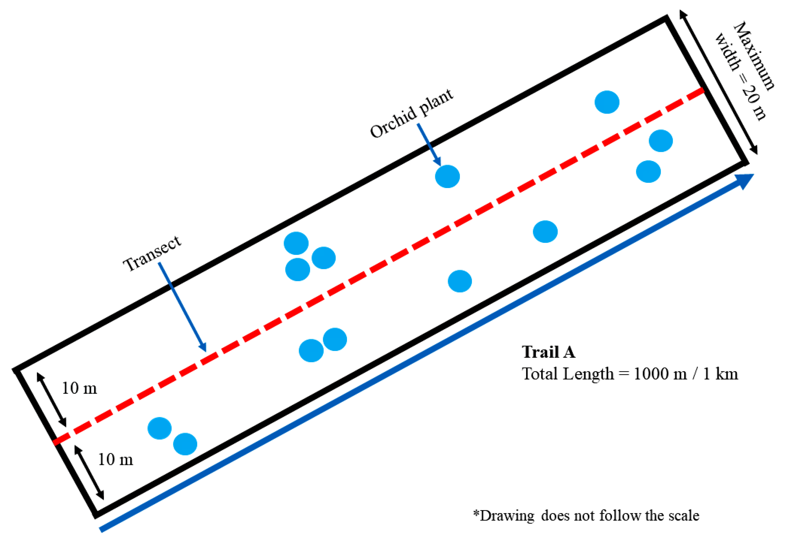 Forests 14 00544 g002