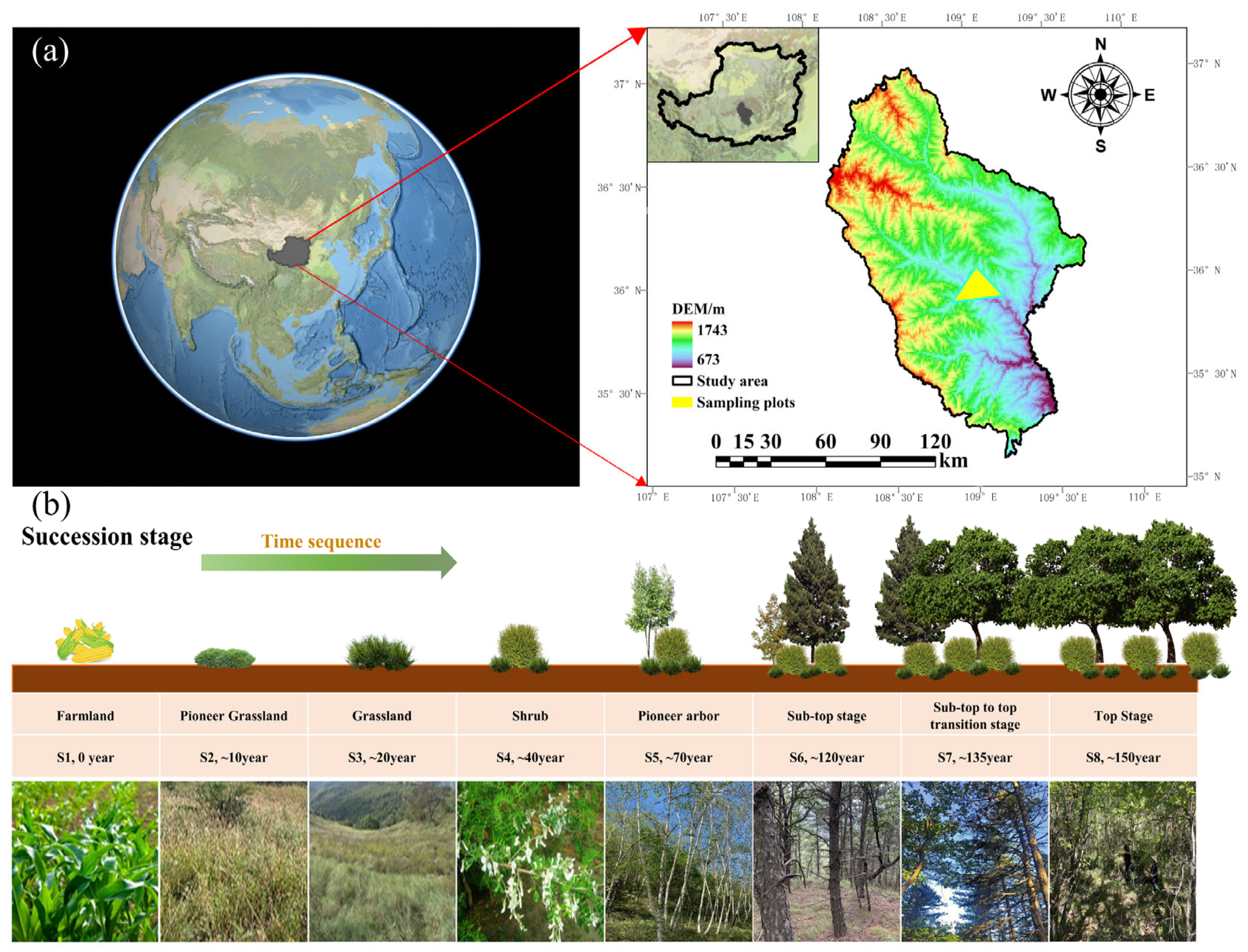 Forests 14 00553 g001