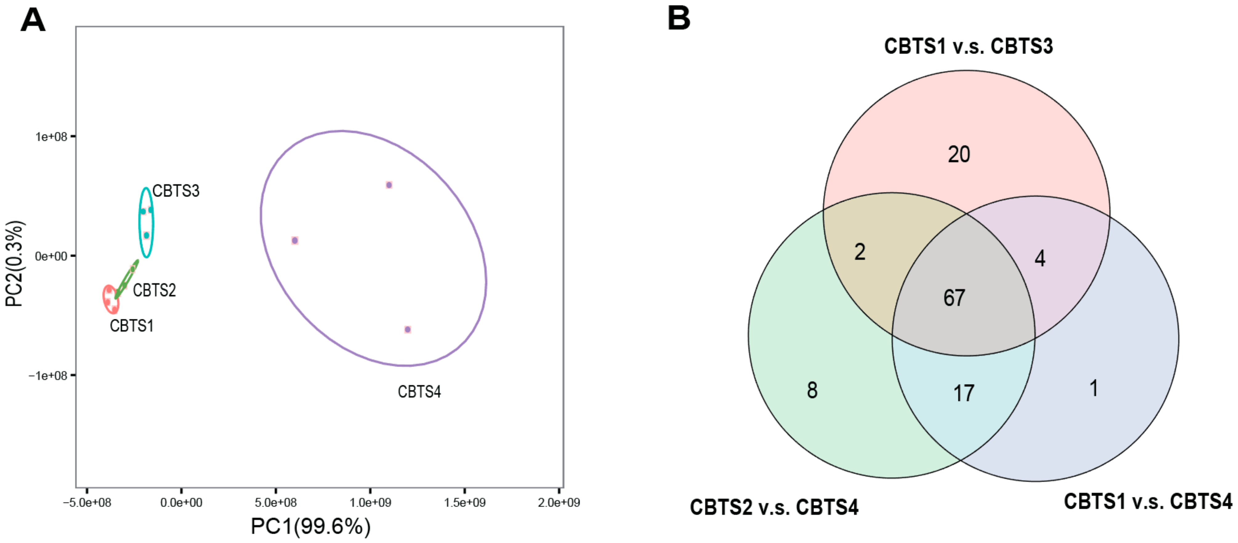 Forests 14 00555 g001a Forests 14 00555 g001a