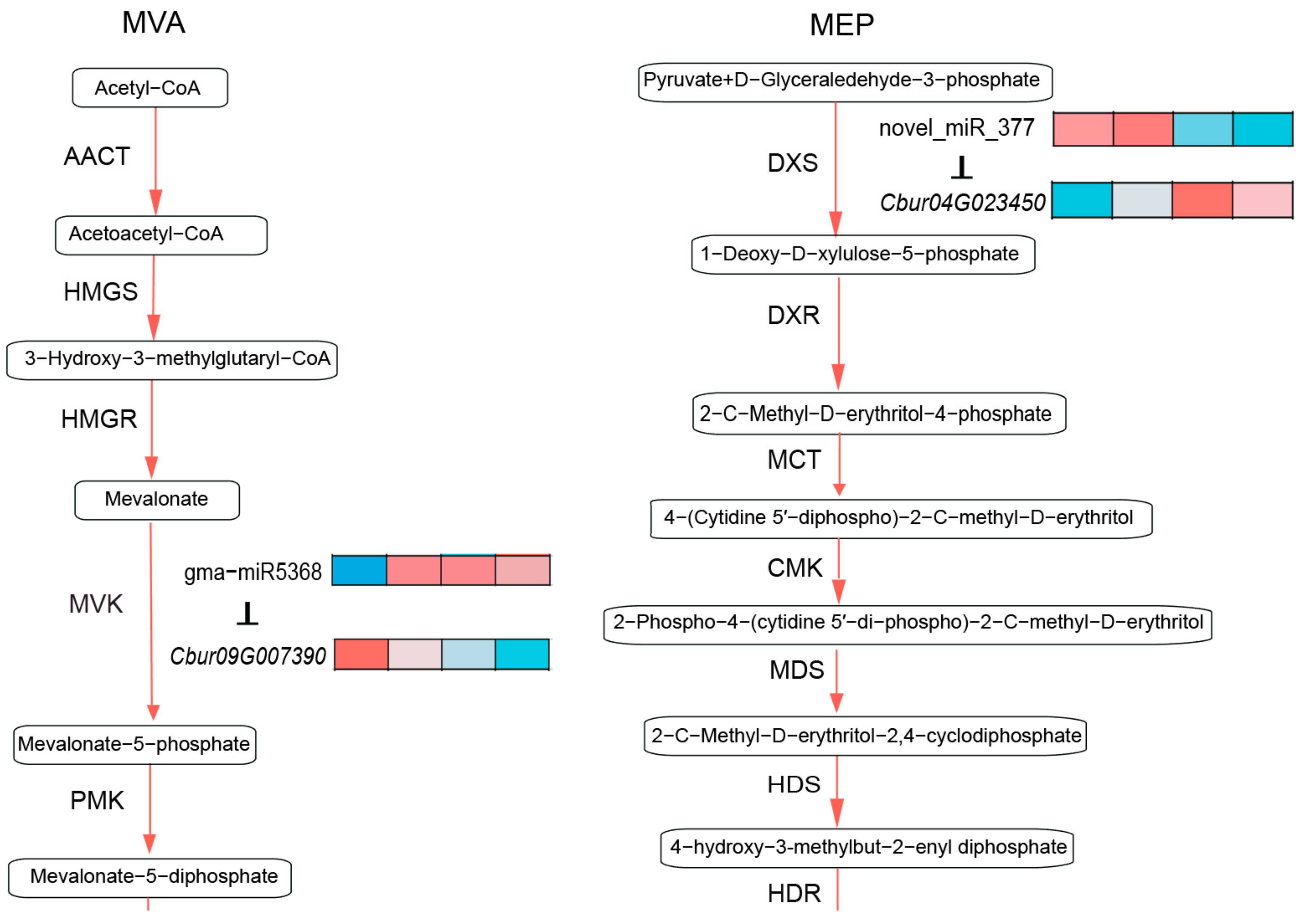 Forests 14 00555 g005a Forests 14 00555 g005a