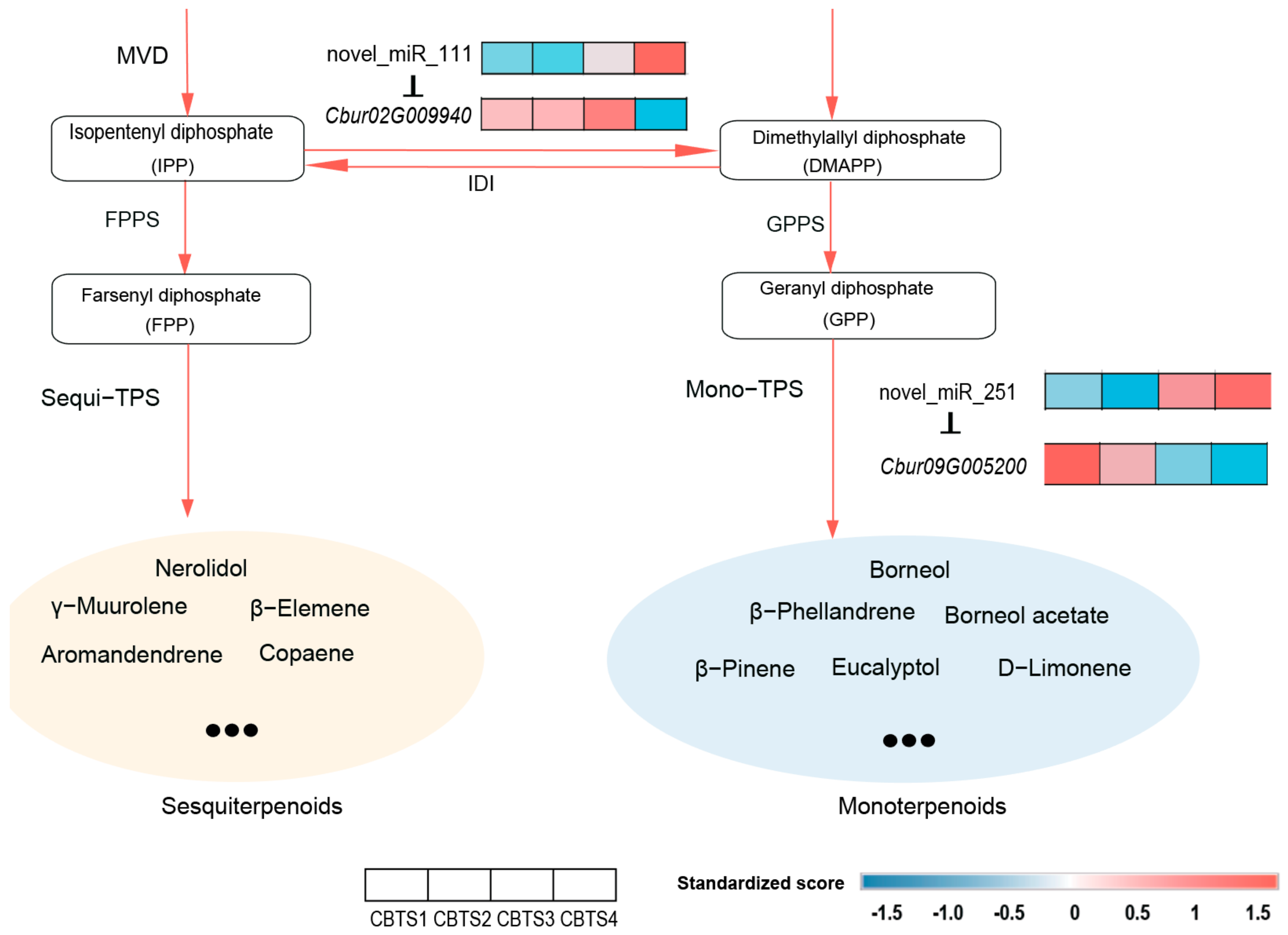 Forests 14 00555 g005b Forests 14 00555 g005b