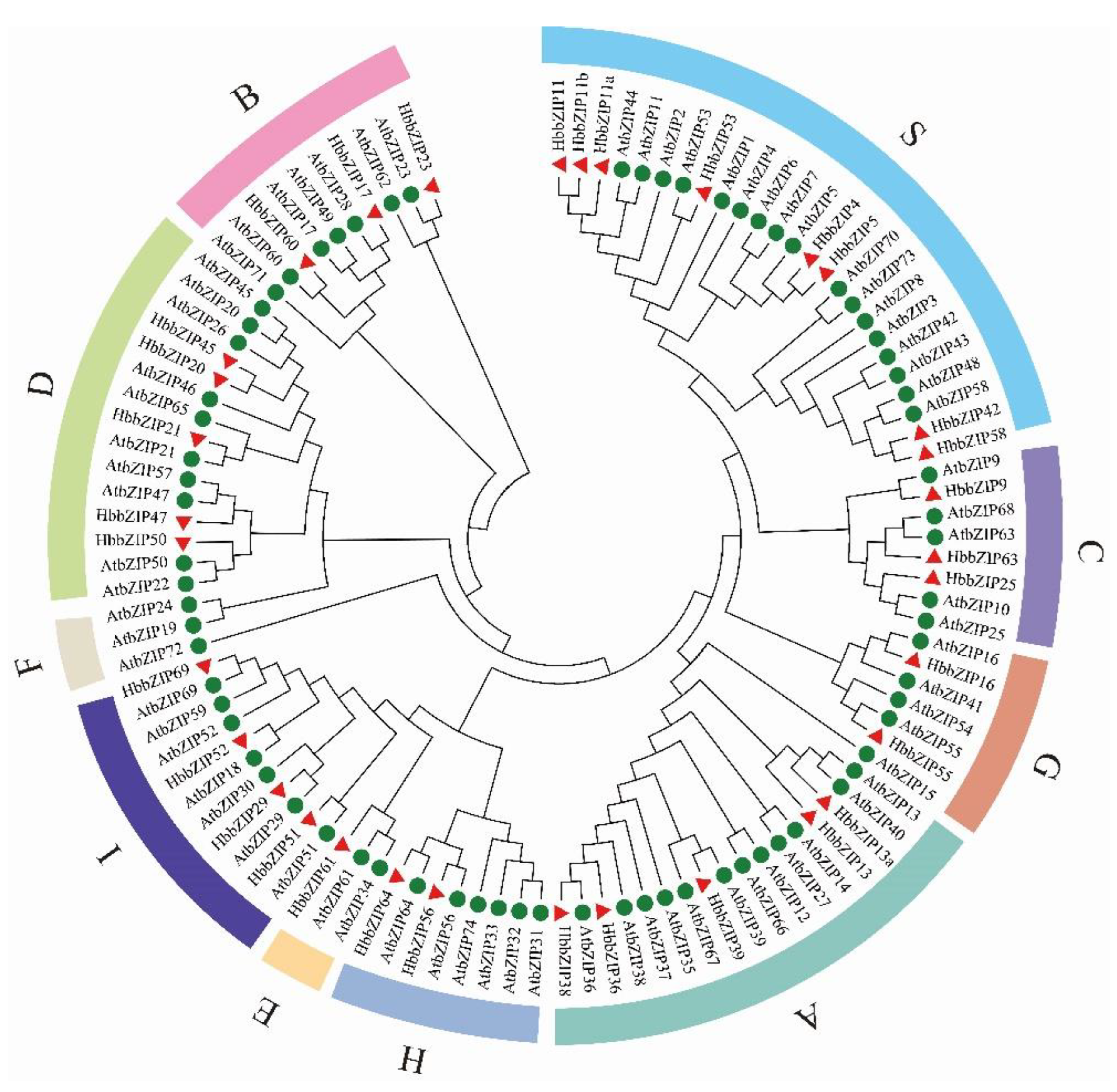 Forests 14 00556 g001