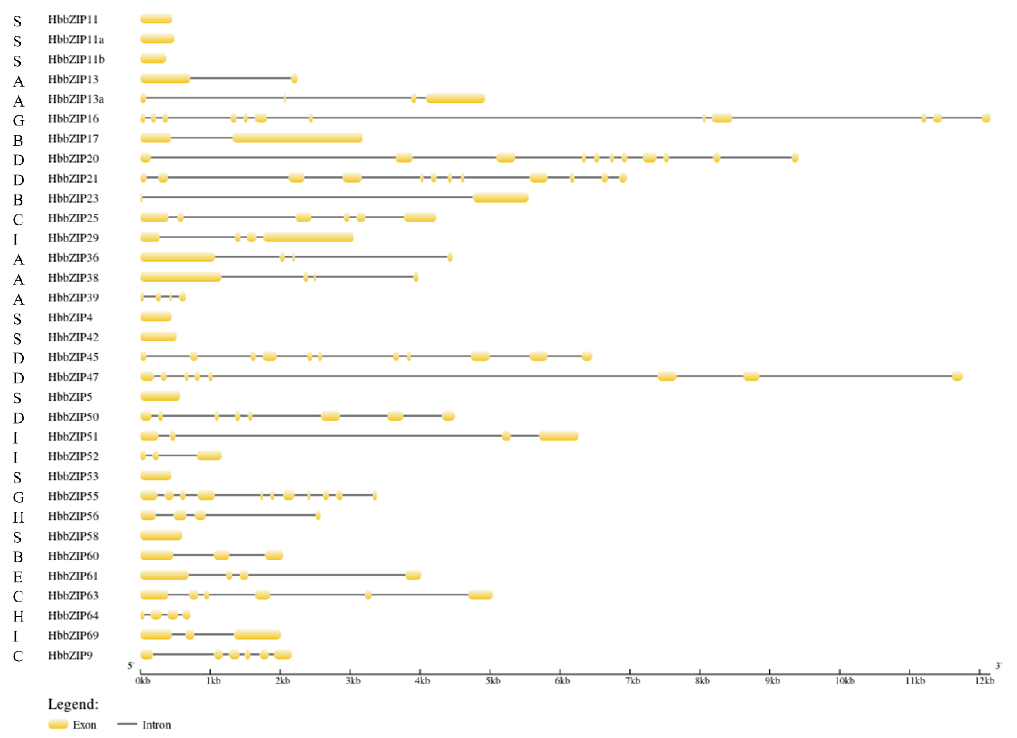 Forests 14 00556 g003